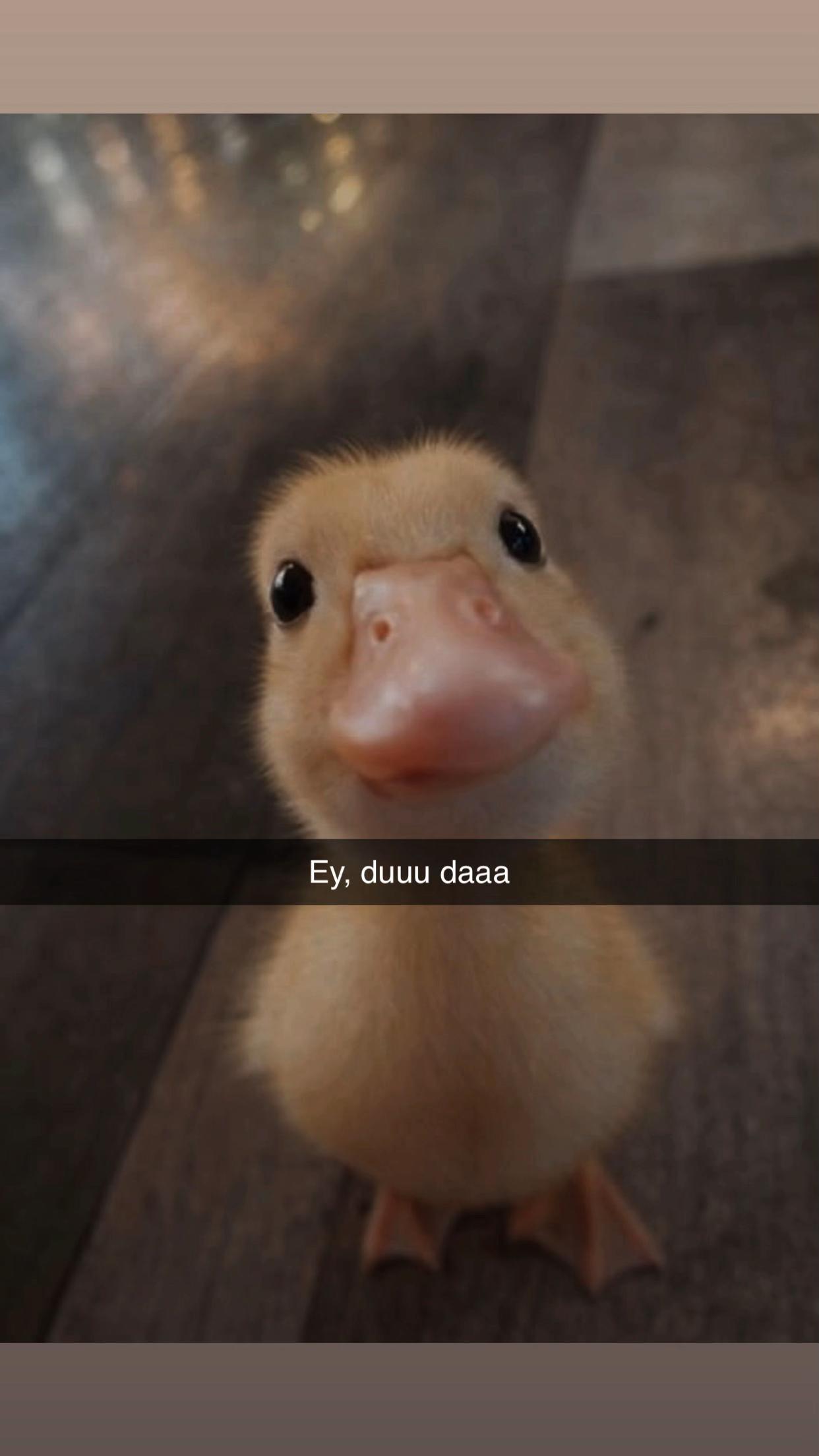 @Lucy067‘