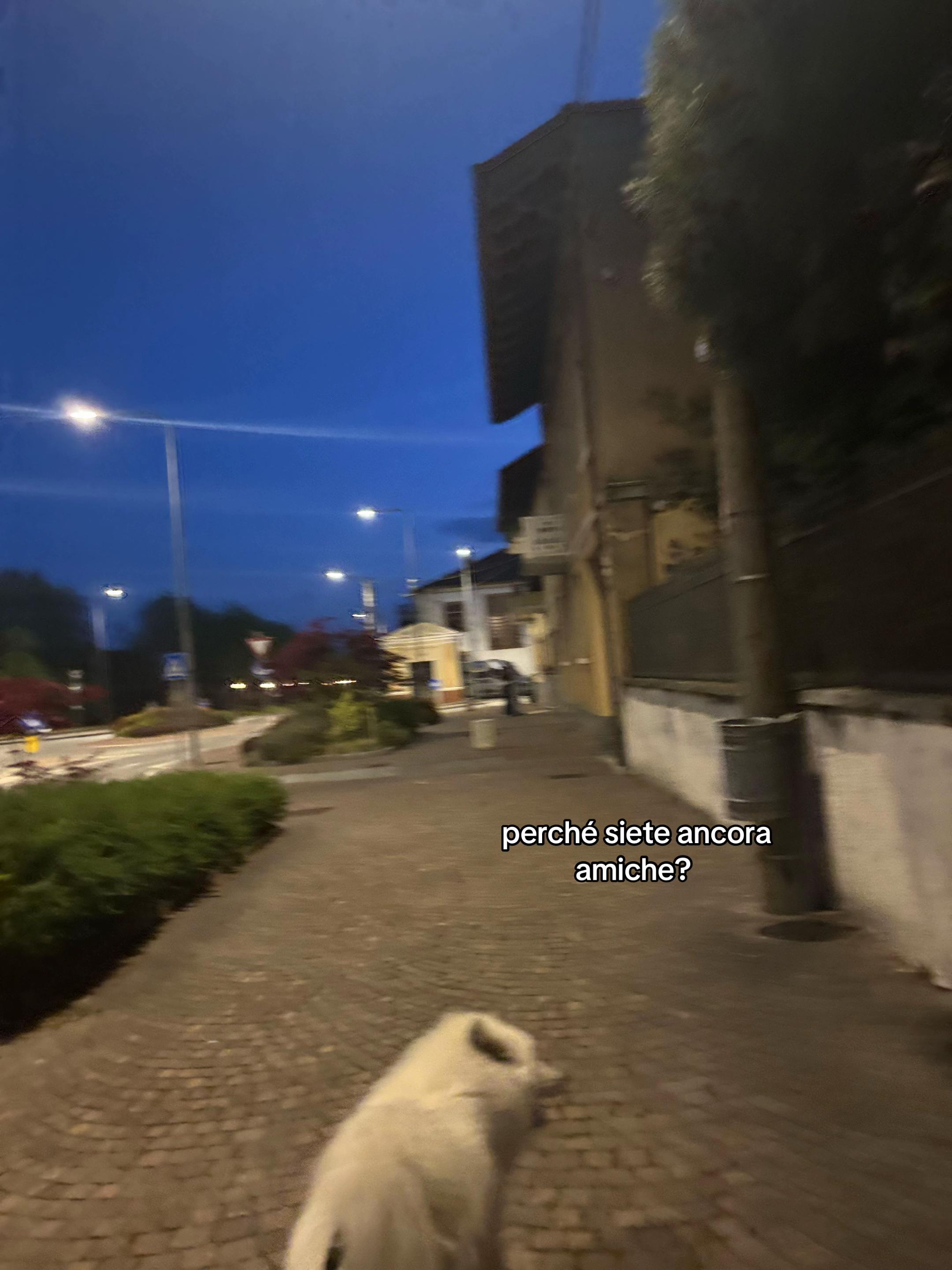 @stella🥊🇦🇱