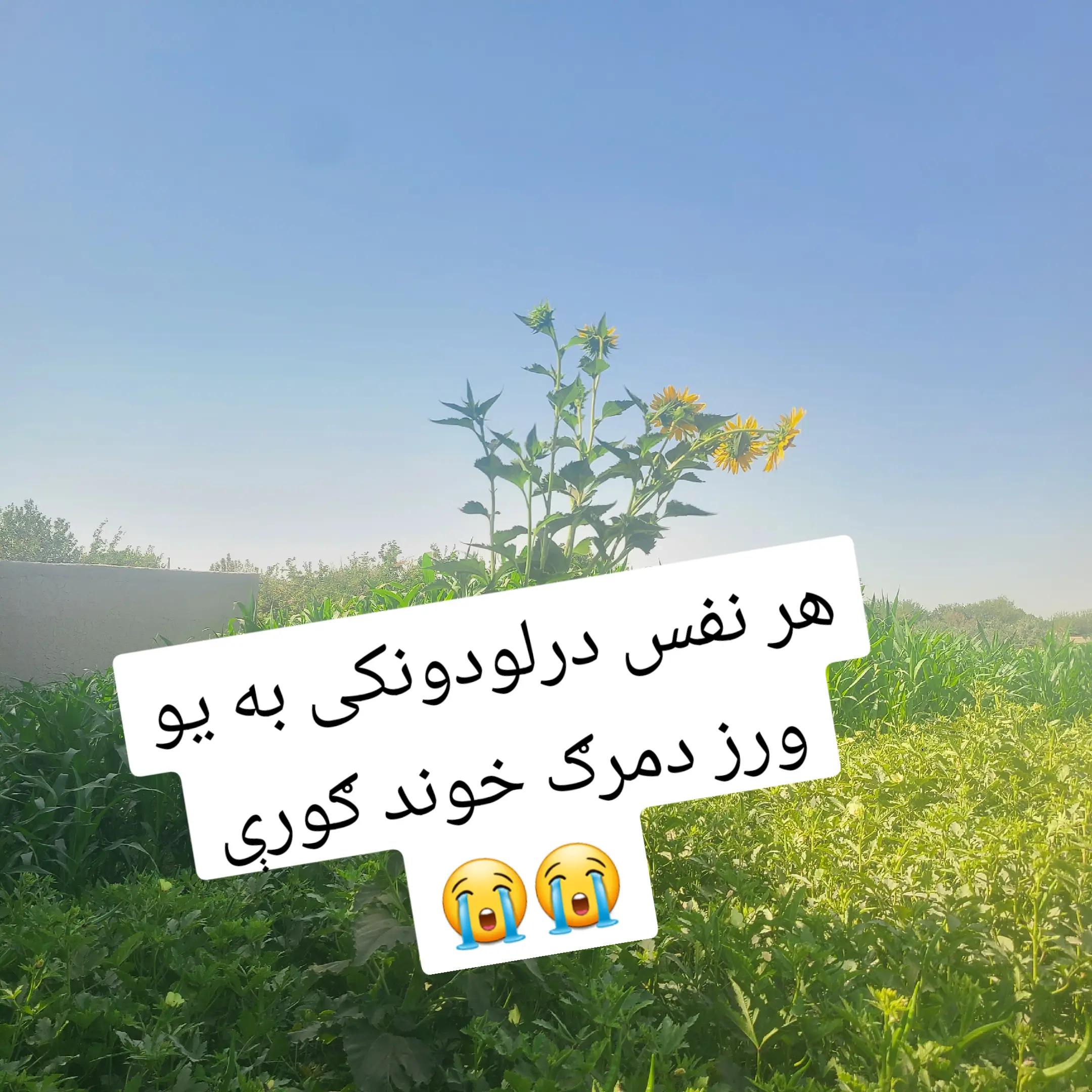 @اللهﷻ💔💗
