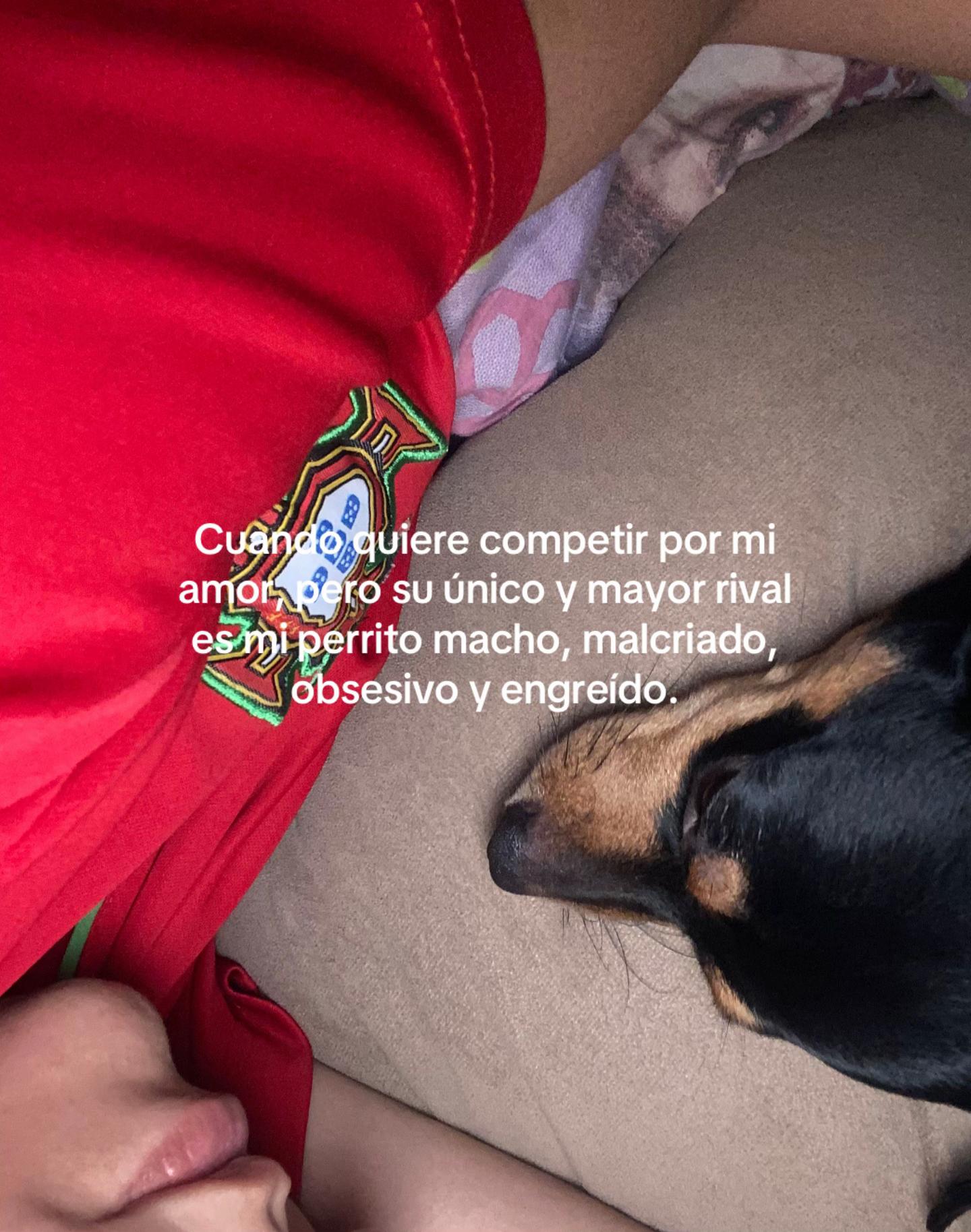 @anabell goncalves