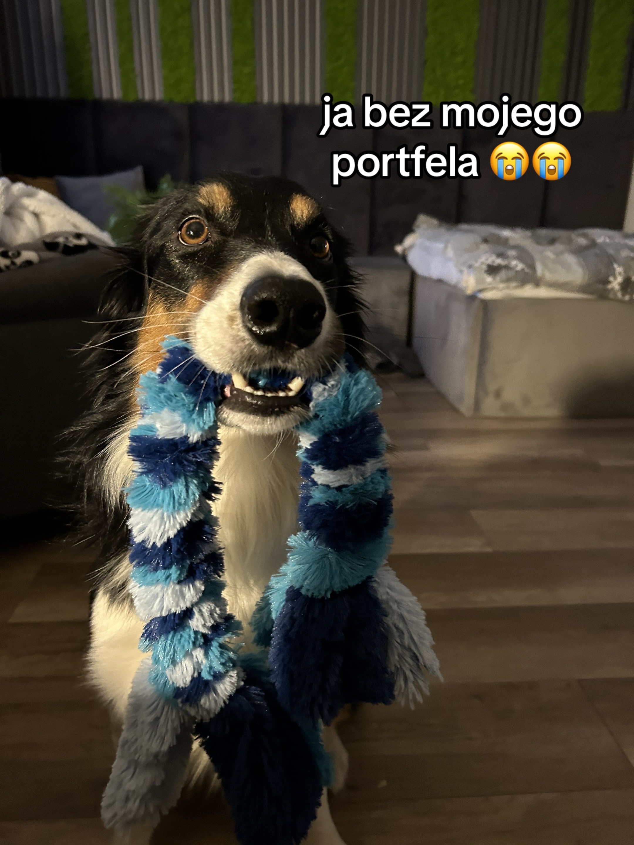 @BLUE🫶🏼