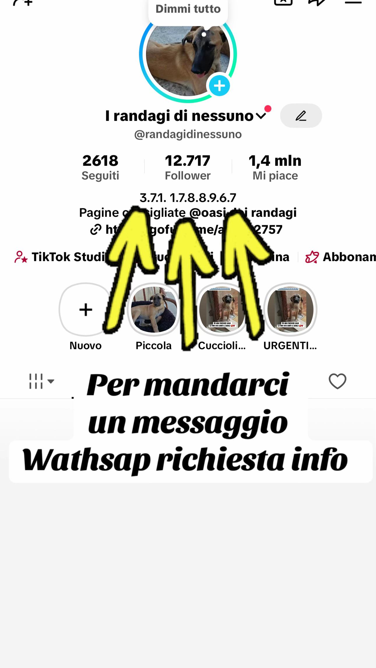 @I randagi di nessuno