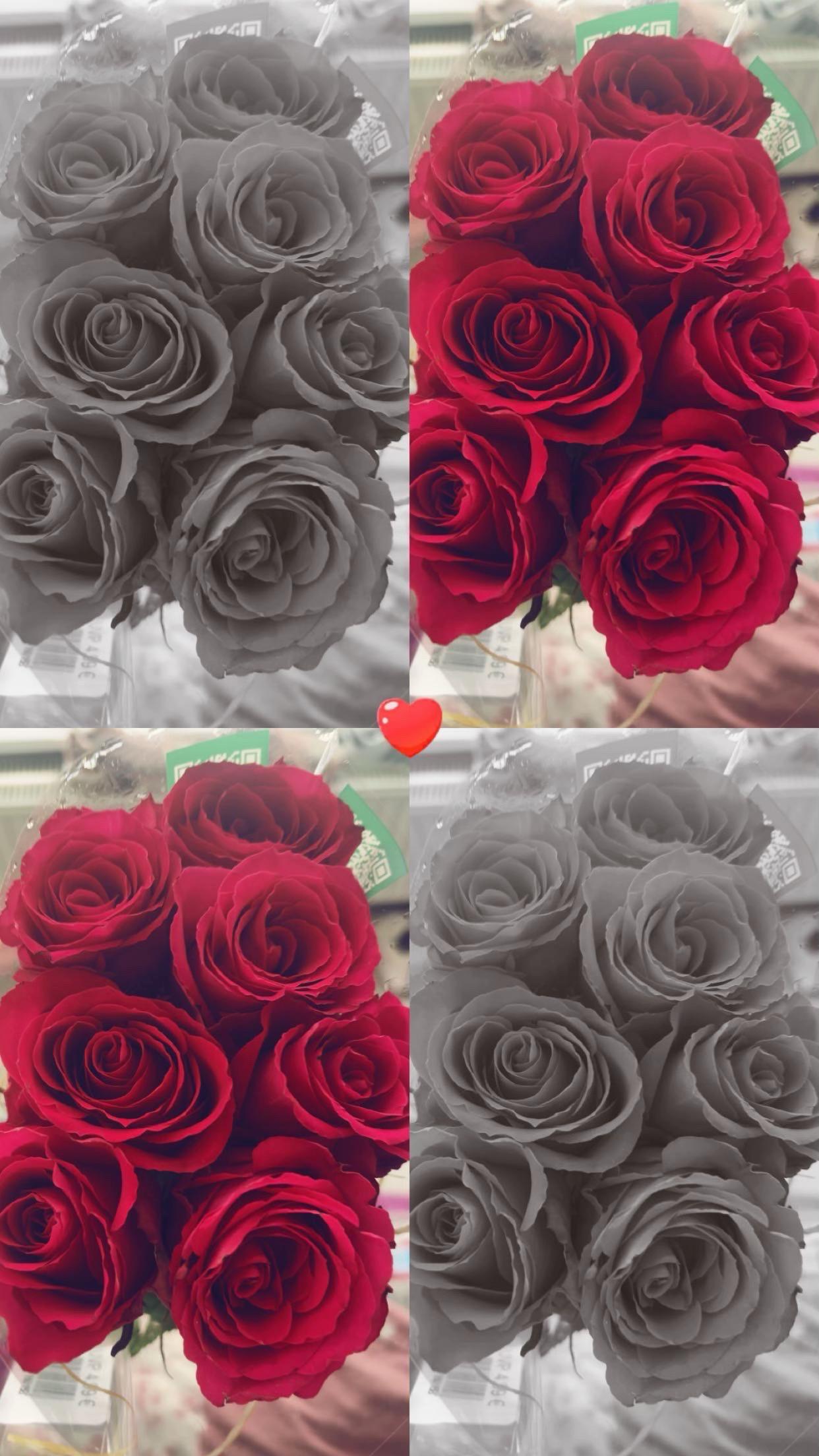 @𝐮𝐬𝐞𝐫&lsquo;🌺