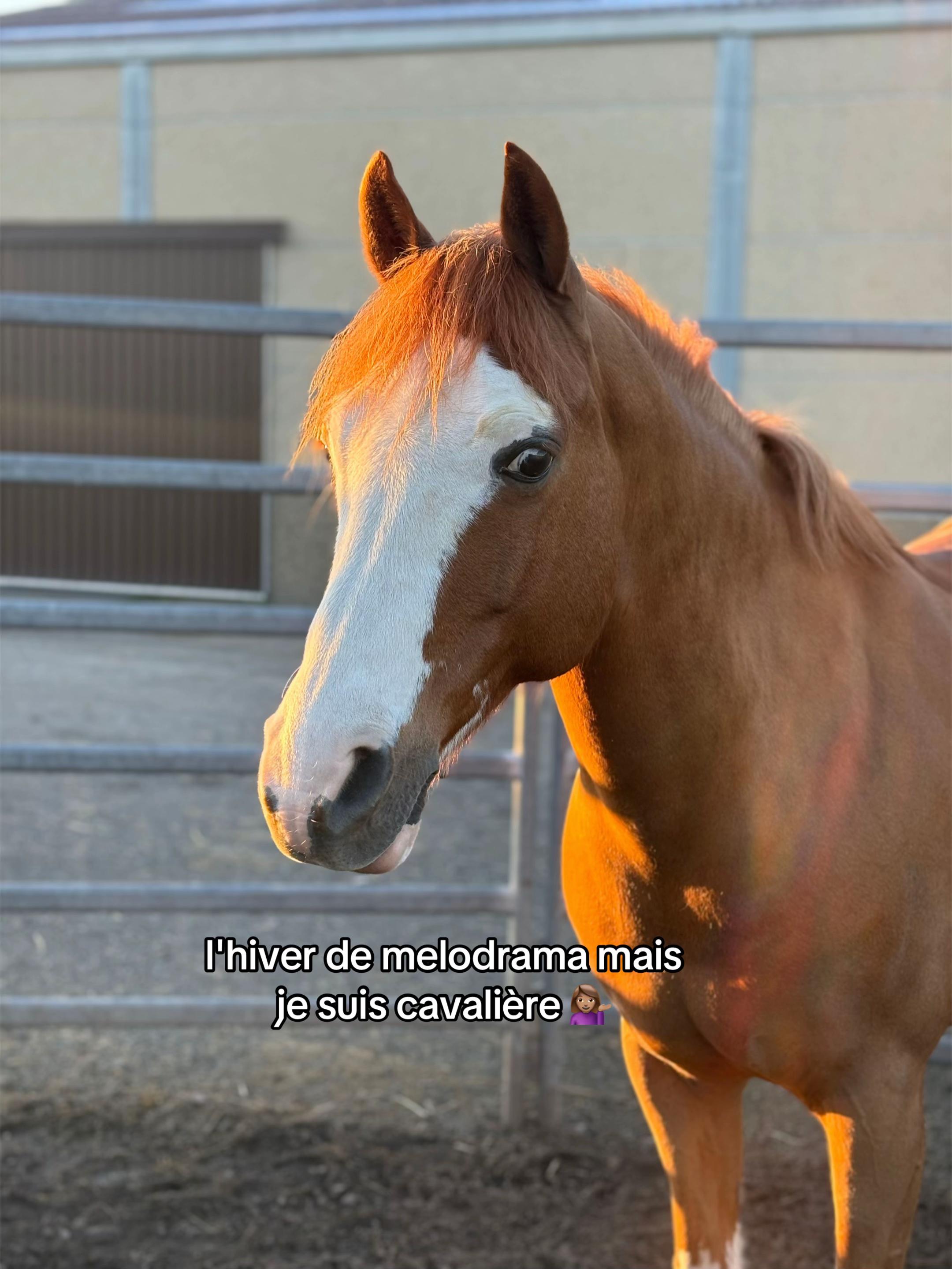@✰𝓬𝓾𝓶𝓻𝓪𝓷✰