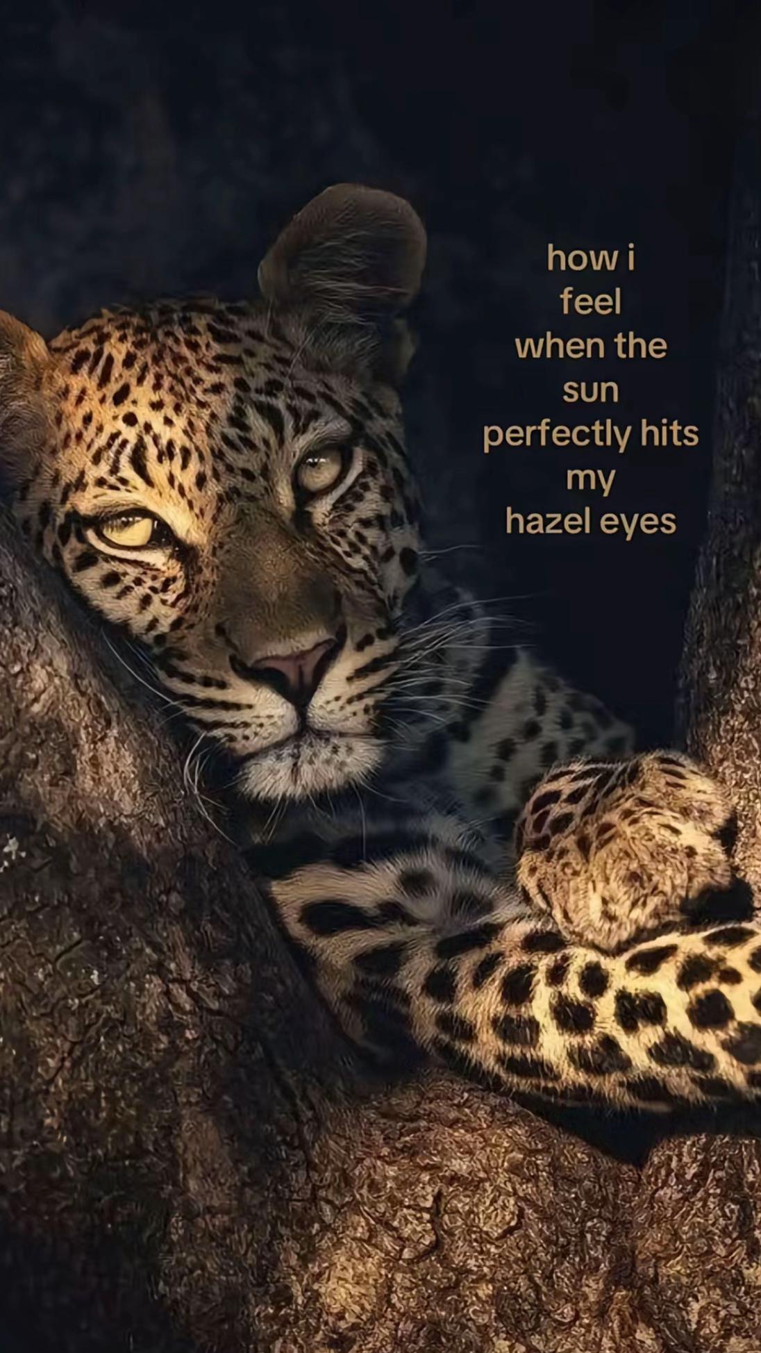 @𝑆𝑎𝑟𝑟𝑎🤍