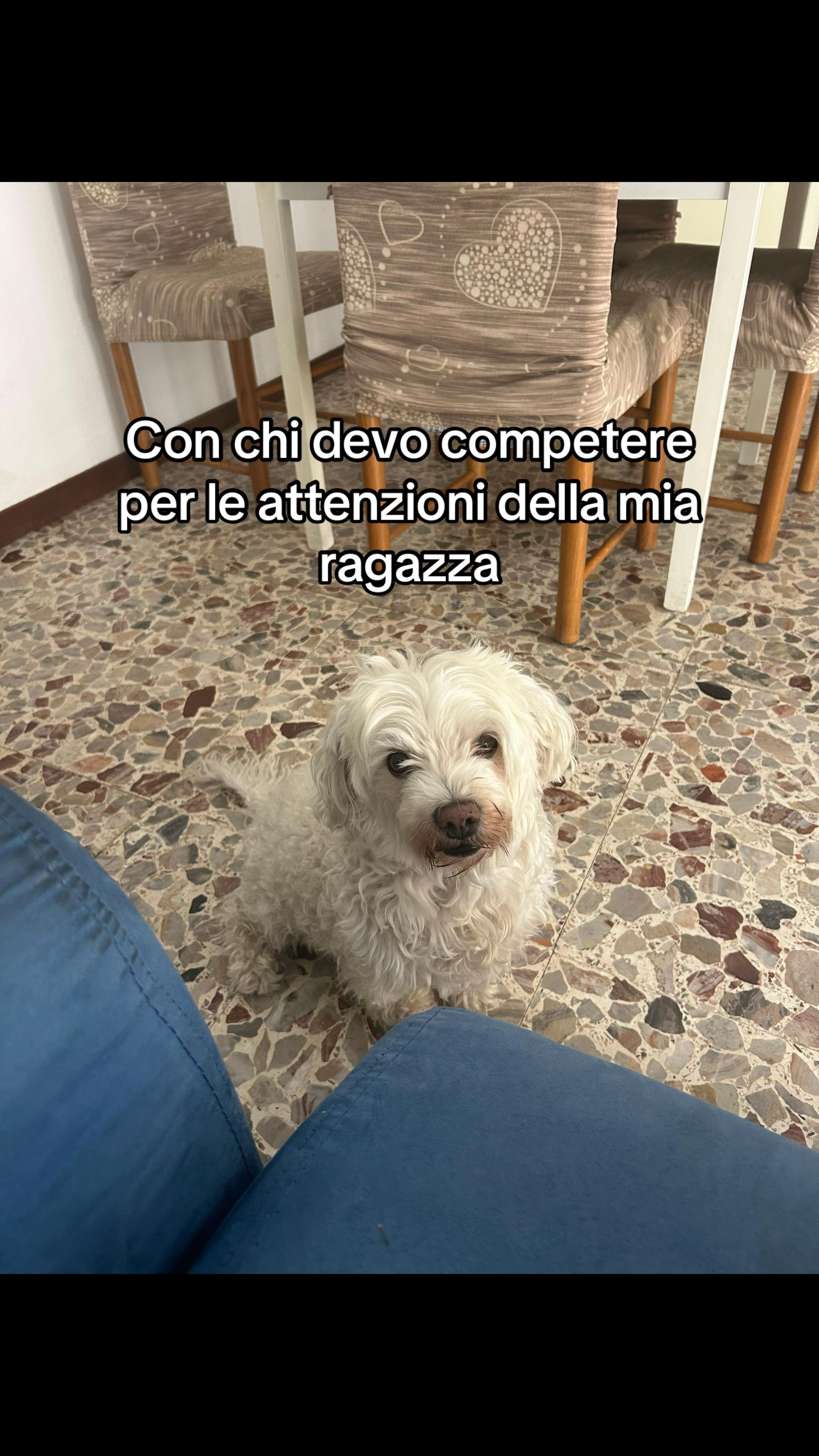 @Betta
