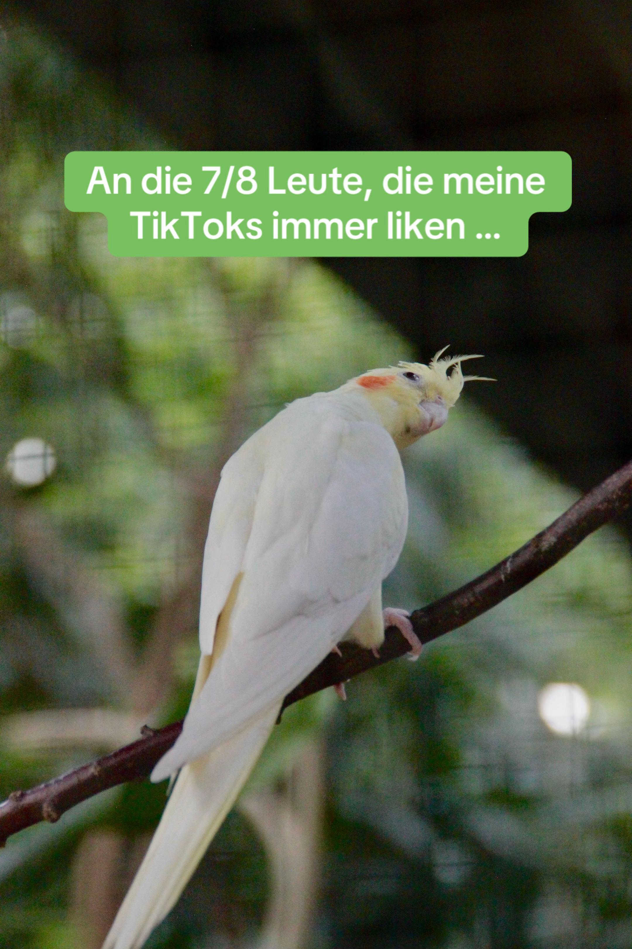 @Biosph&auml;re Potsdam