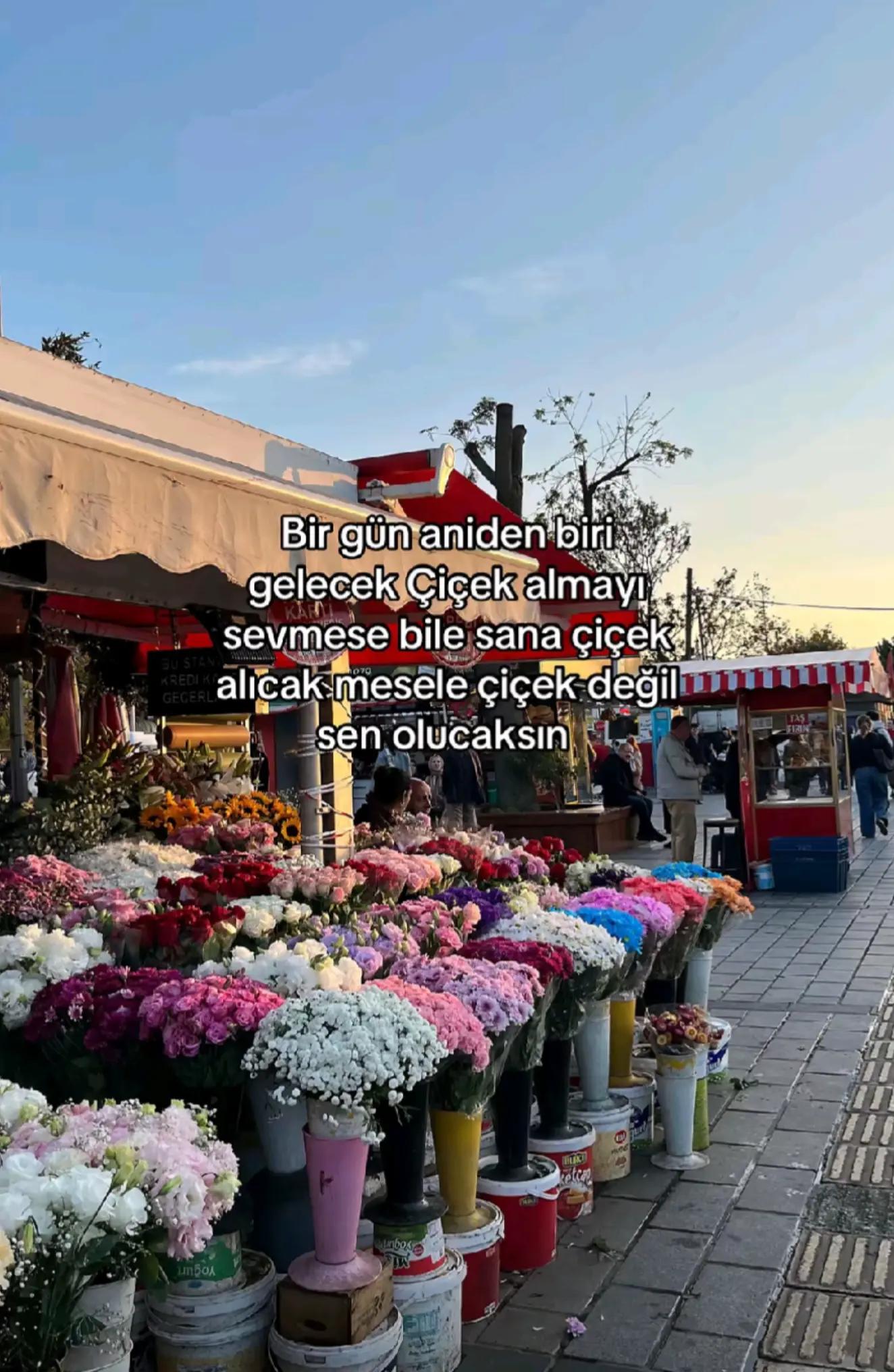 @Sahra Arslan_🐅🇹🇷