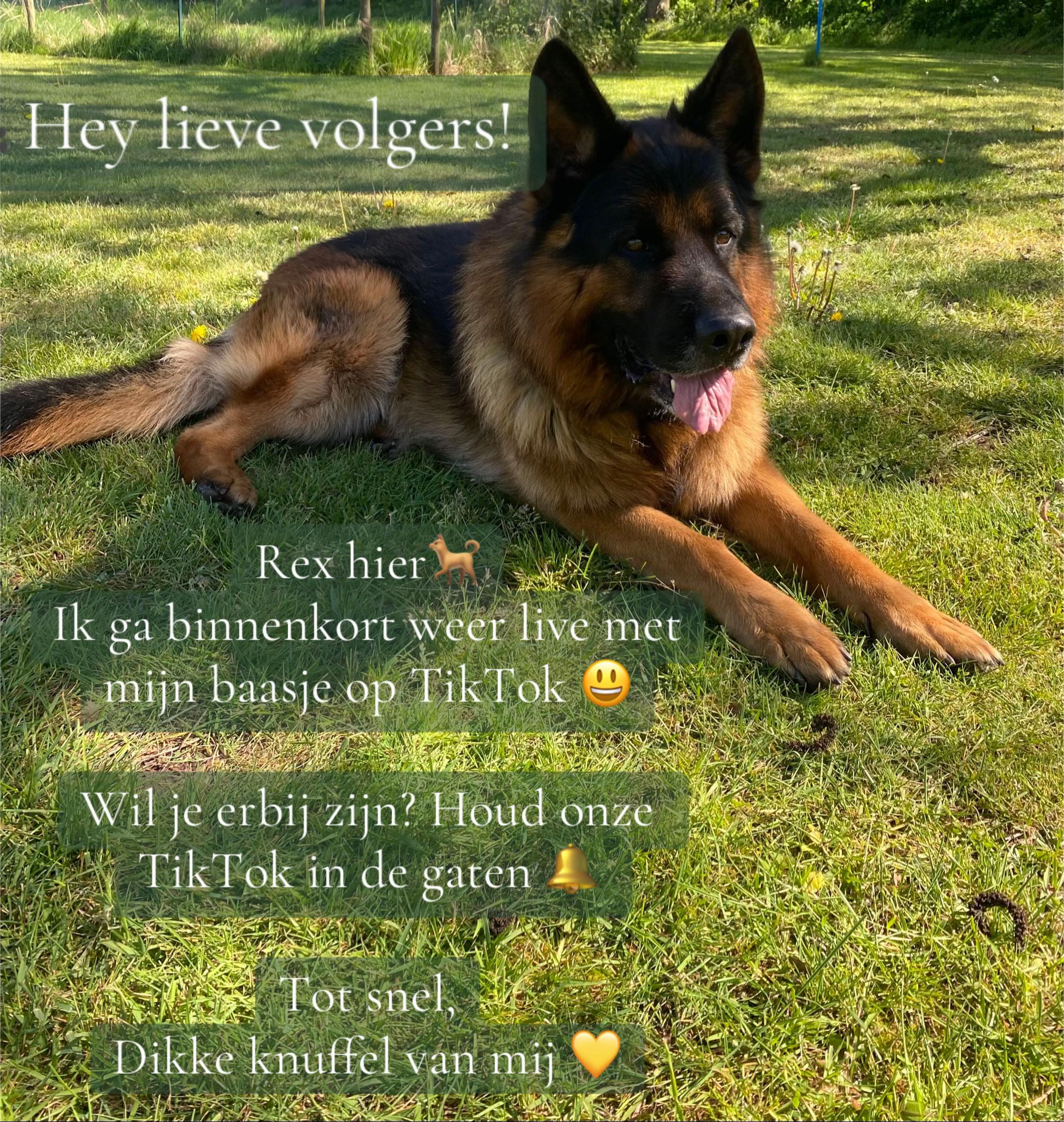 @Marloes.