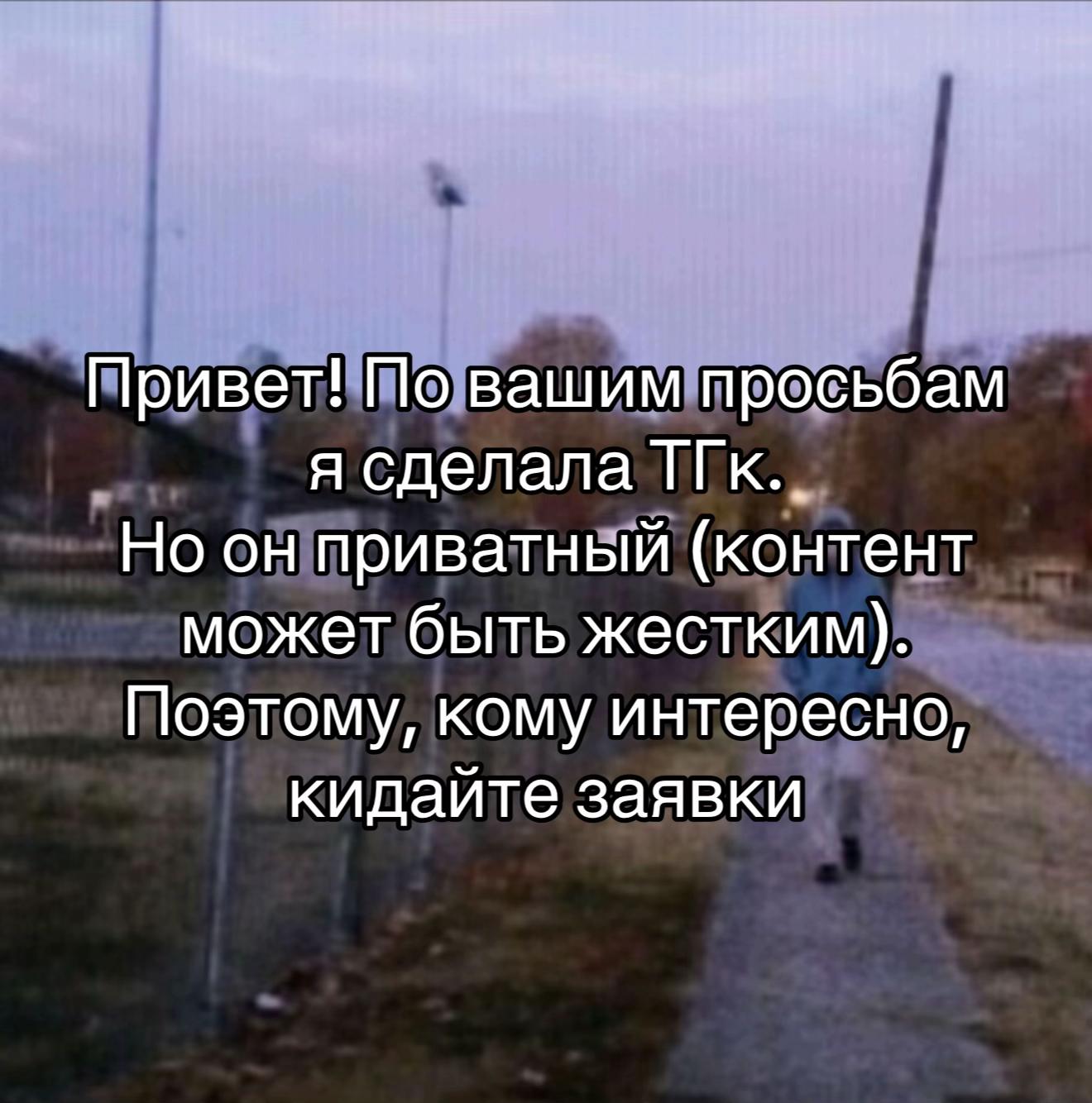 @cat