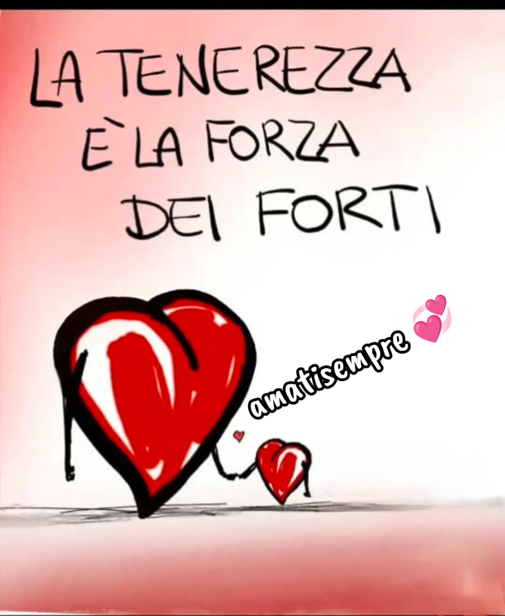 @lucia