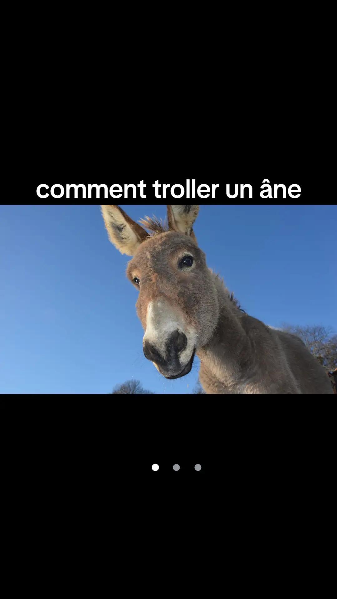 @Justine Jvle