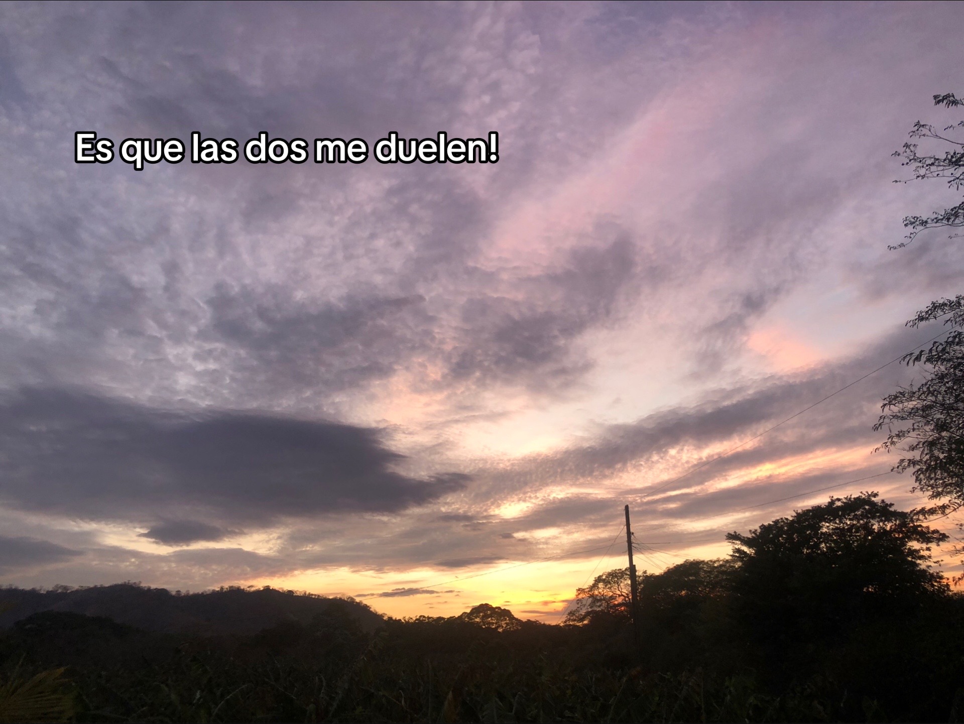 @gabyvasquez1086