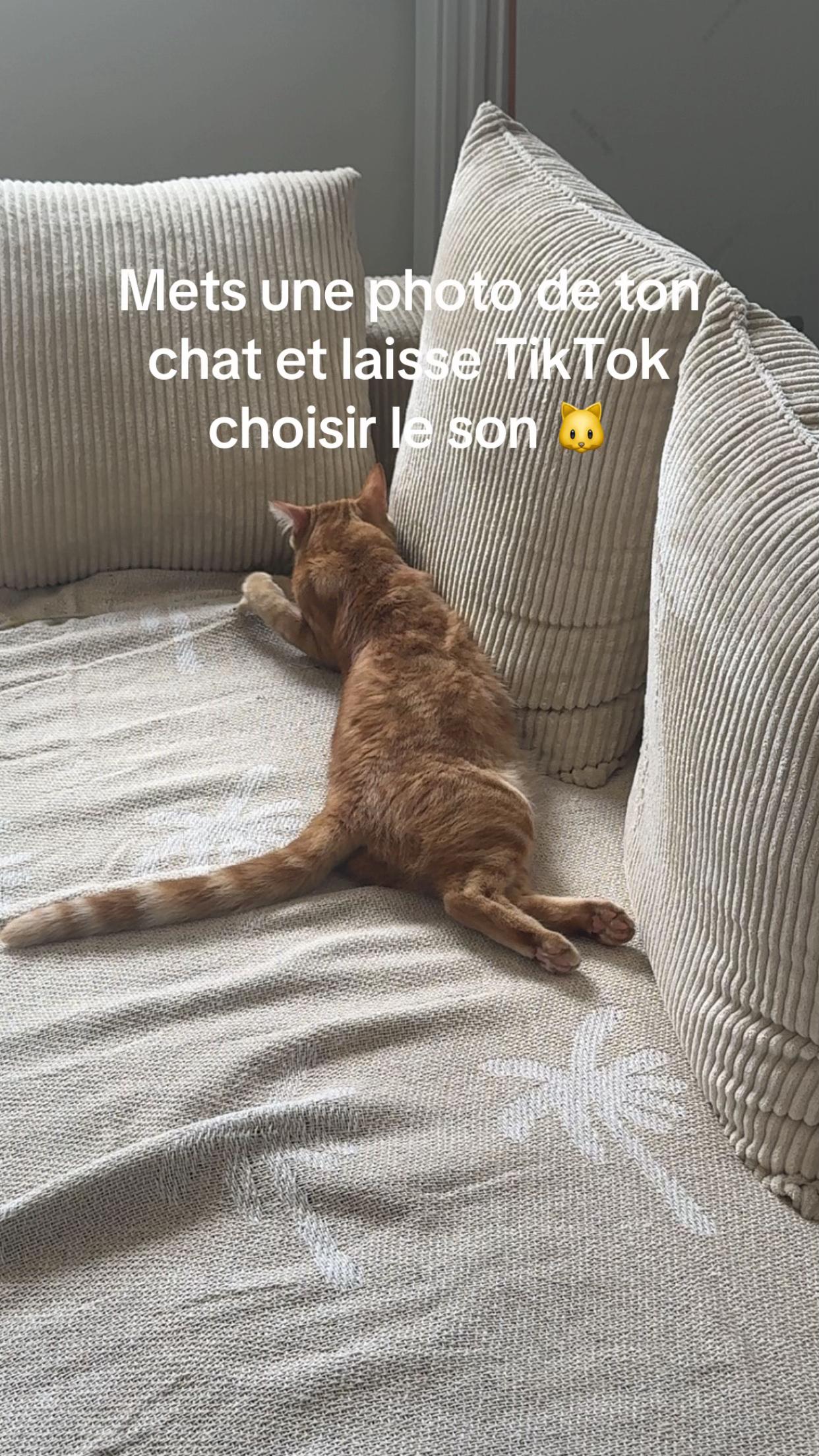 @✨ romain.lbss ✨