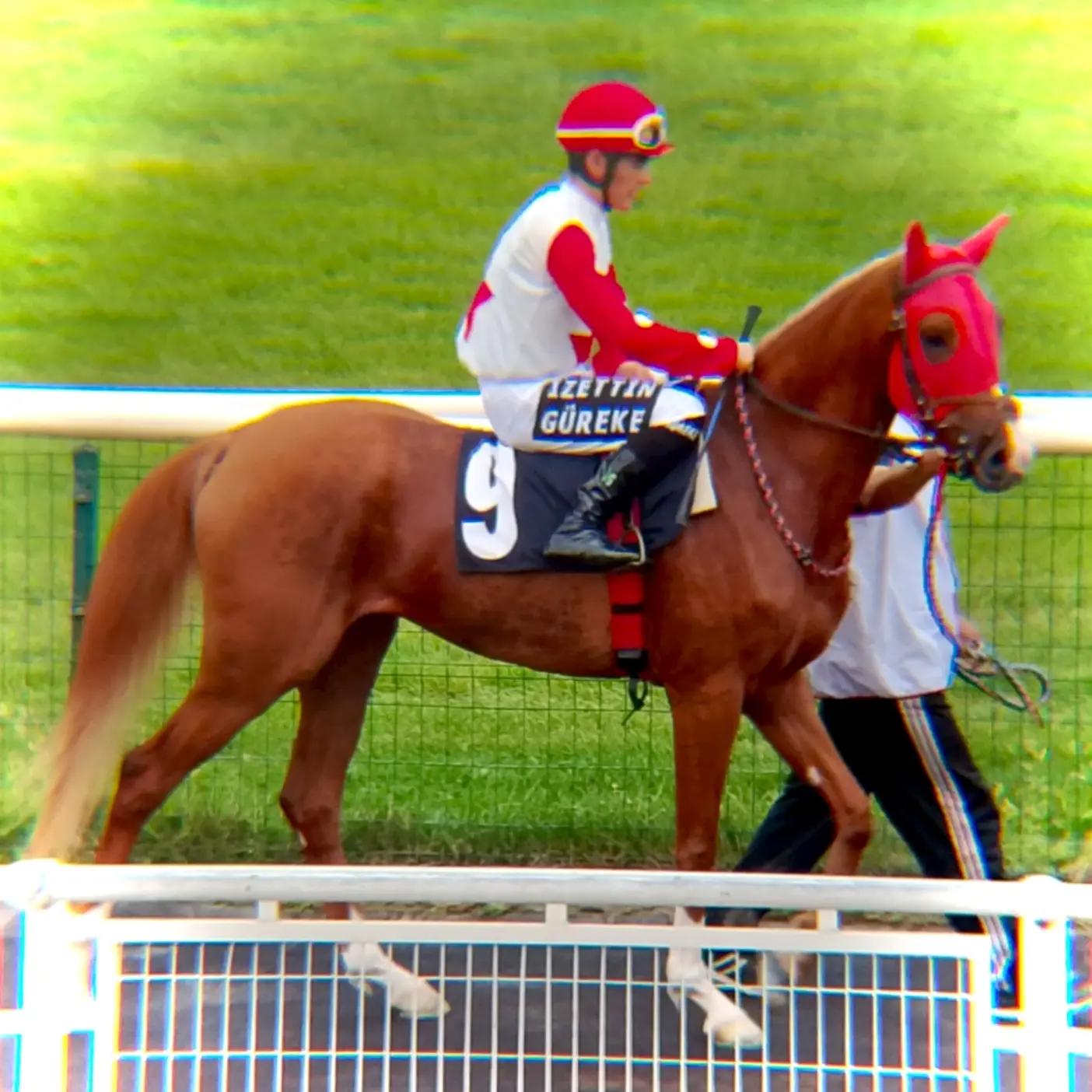 @brs horse racing