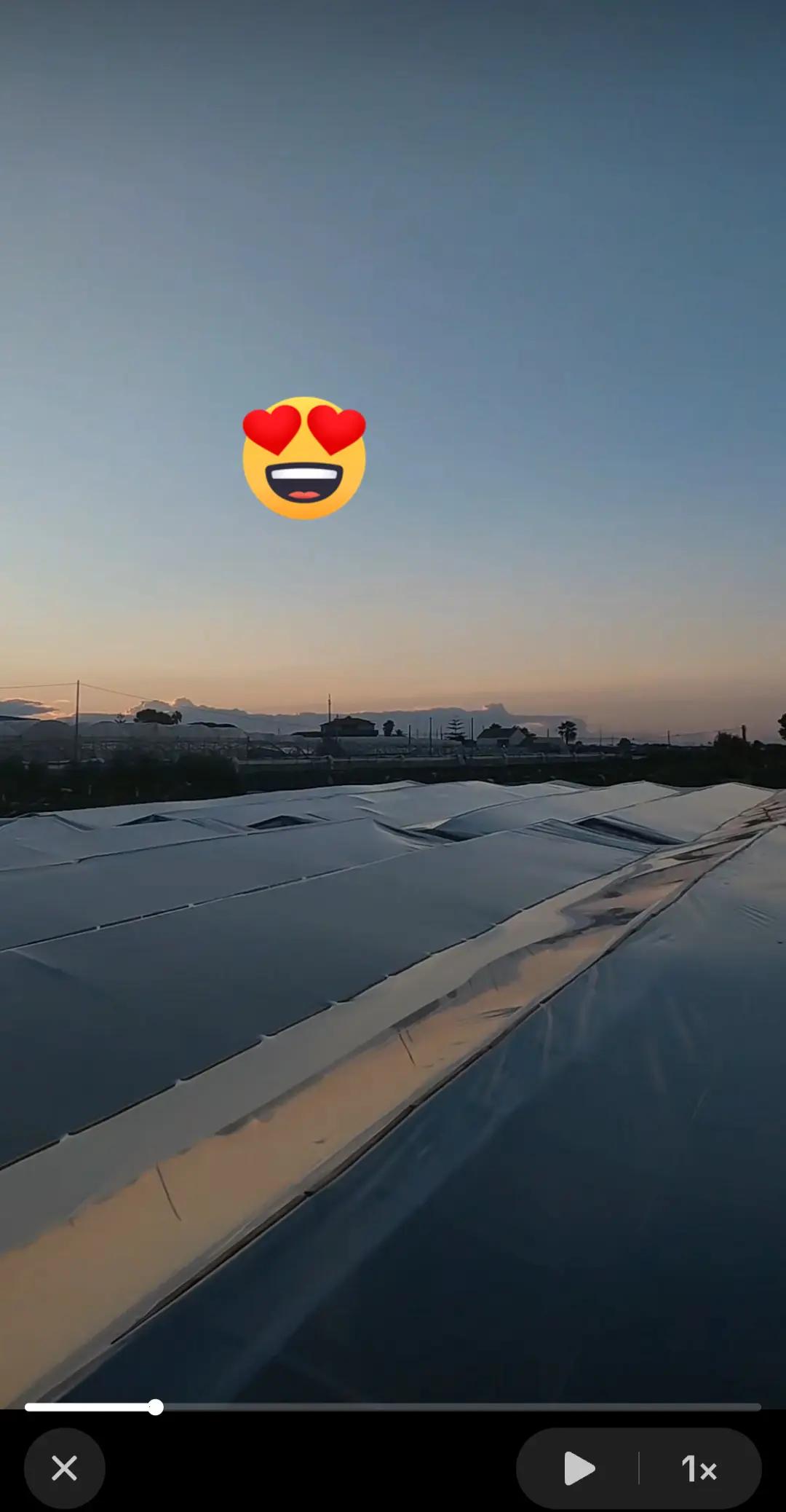@rosariocassisi4