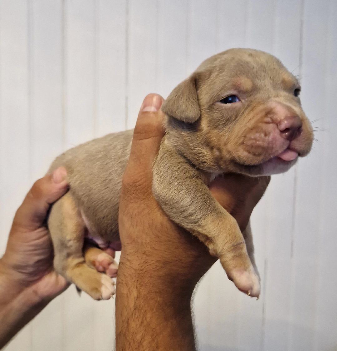 @Baby'sNala