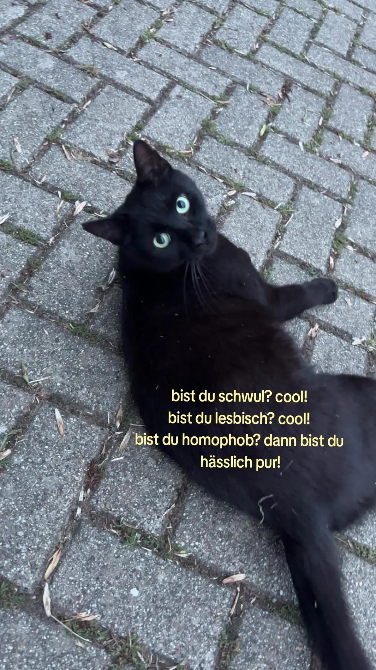 @ᴍᴀʀᴠᴇʟ 🕸️๋࣭ ⭑