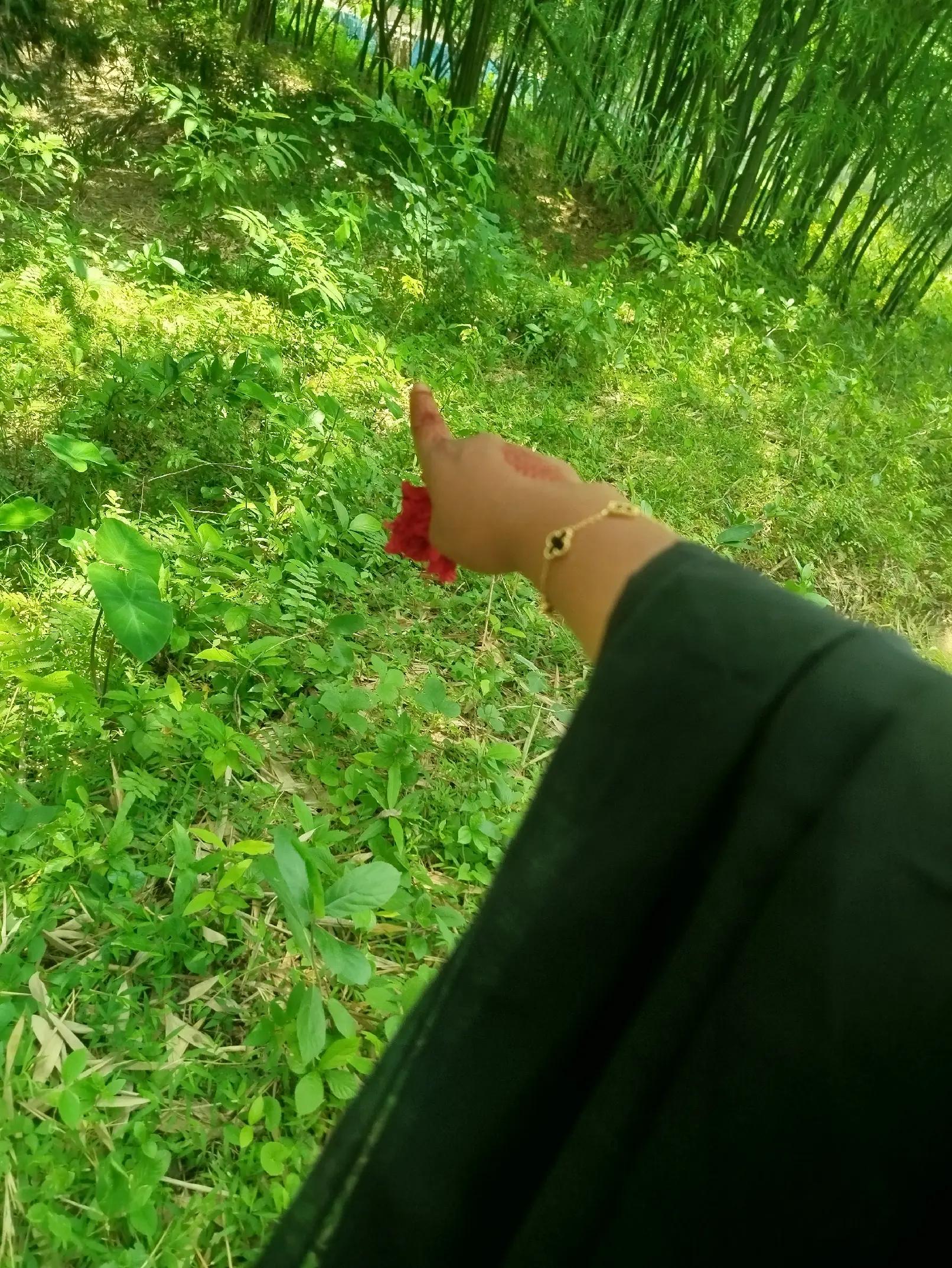 @ইলমা আক্তার