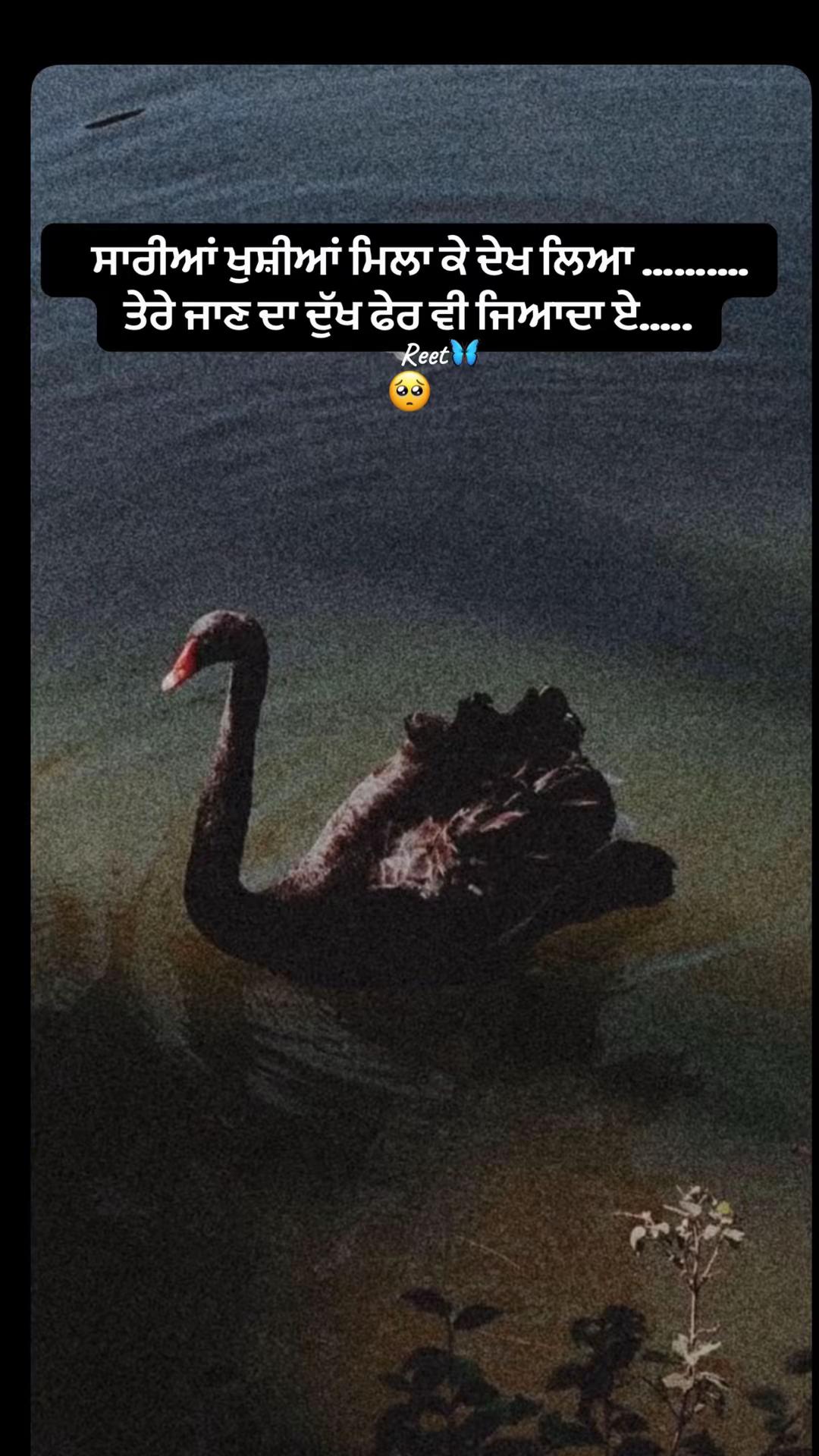 @Reet Kaur🦋🧚♀️🪬