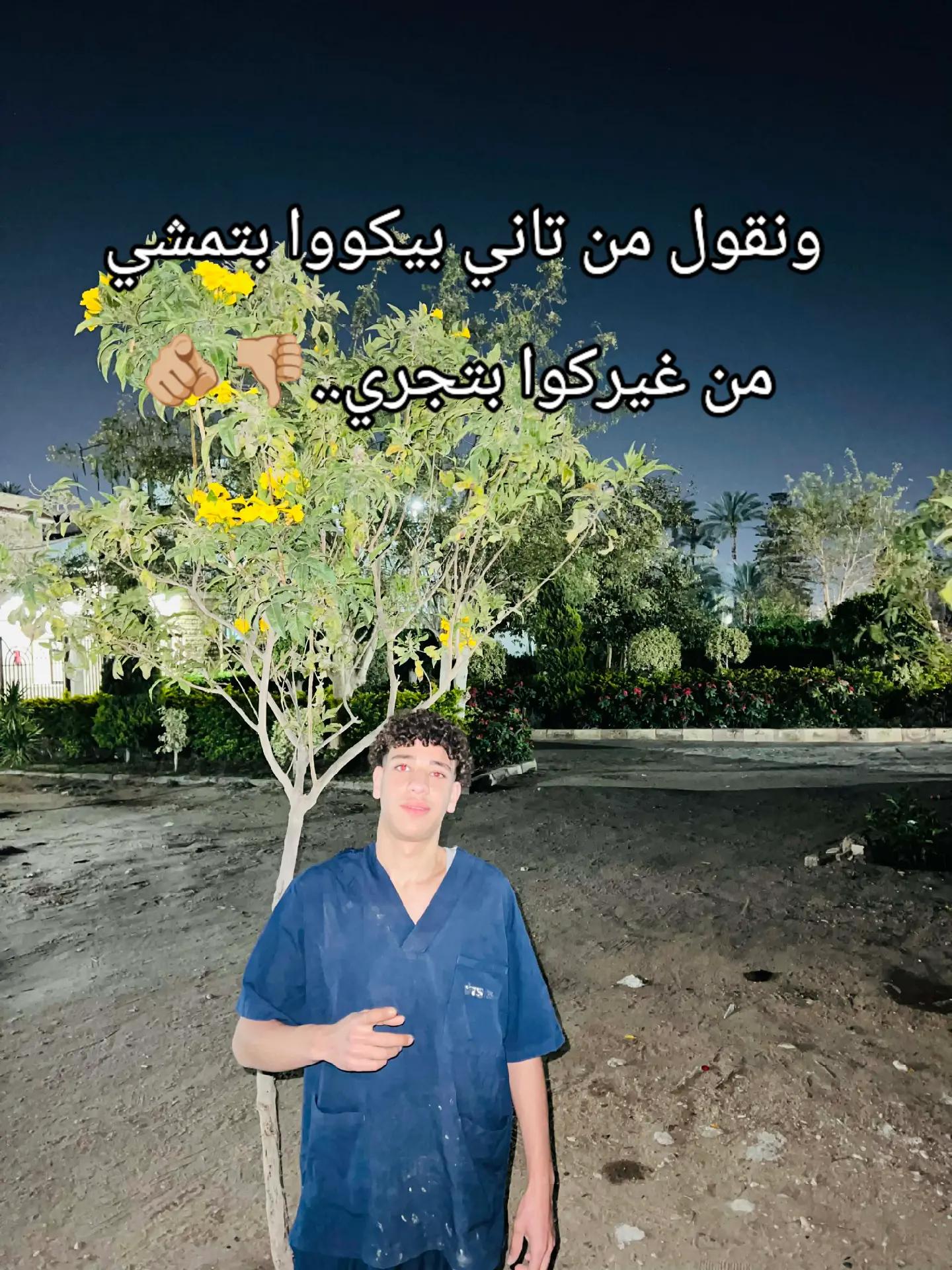 @➳ᴹᴿ᭄البّــــ𝓩𝓘𝓐𝓓ـــطل 𓃠 ✤