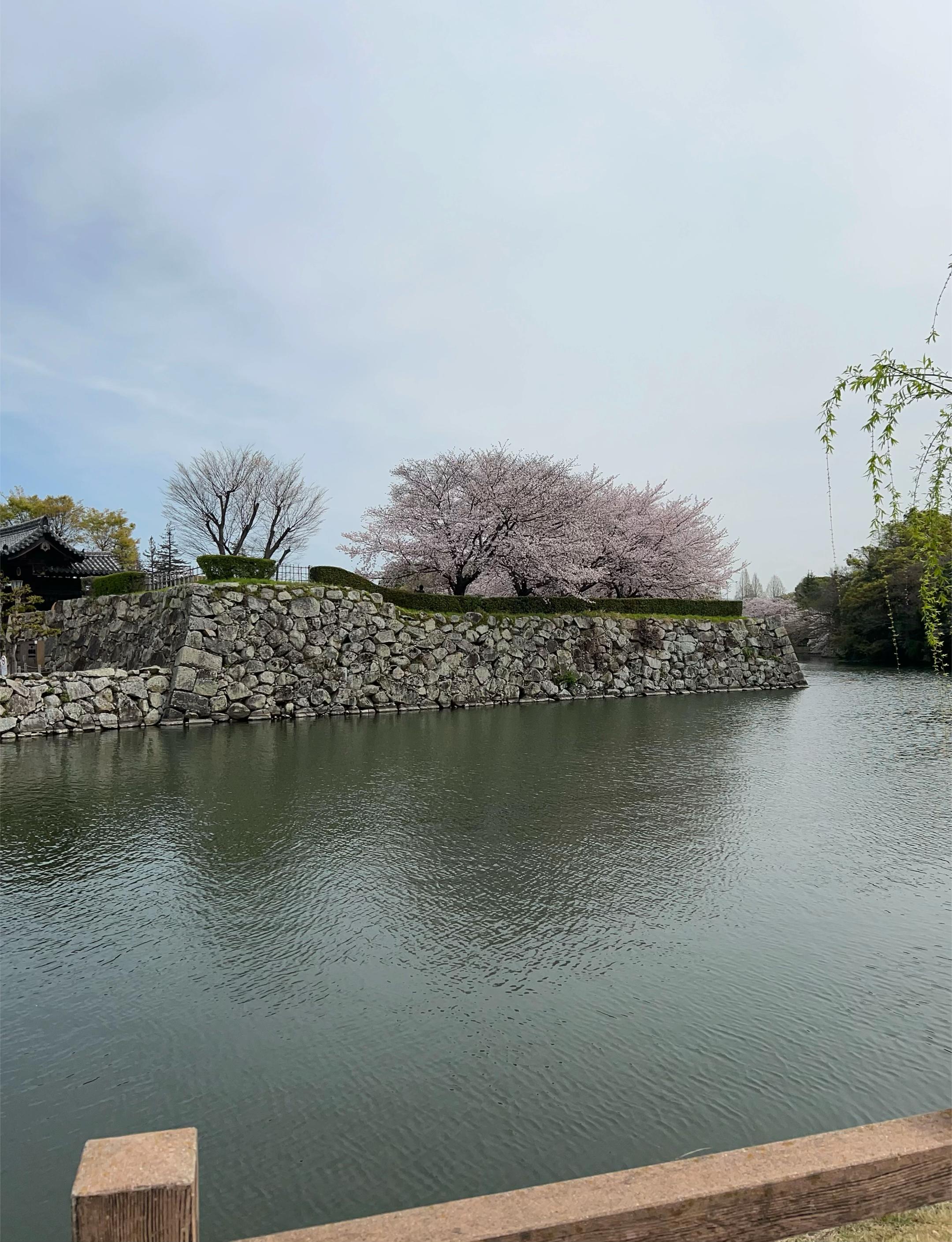 @とっちゃん