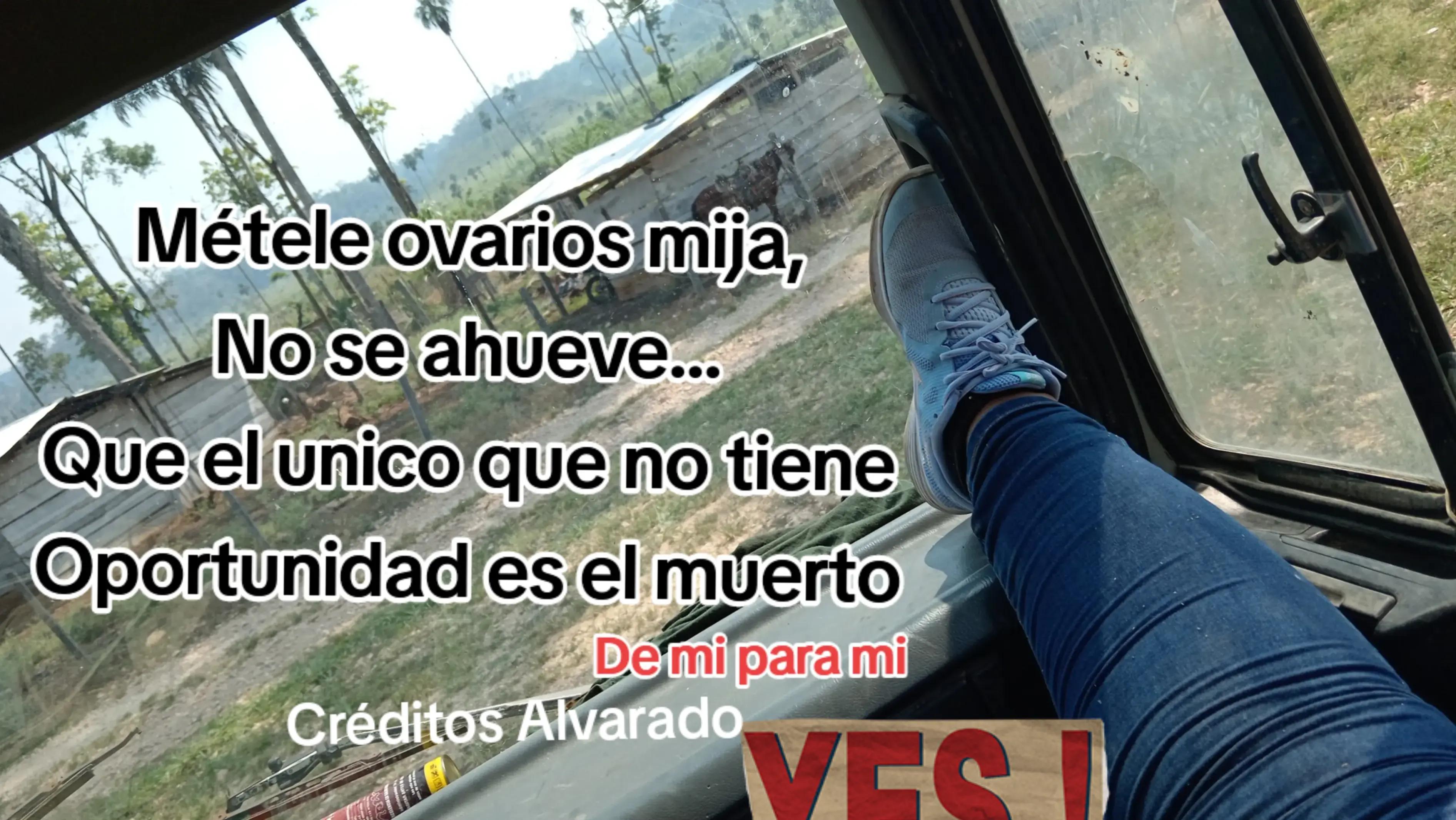 @lizzi alvarado