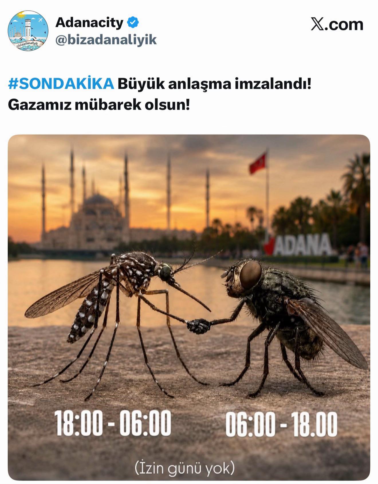 @Bizadanaliyik