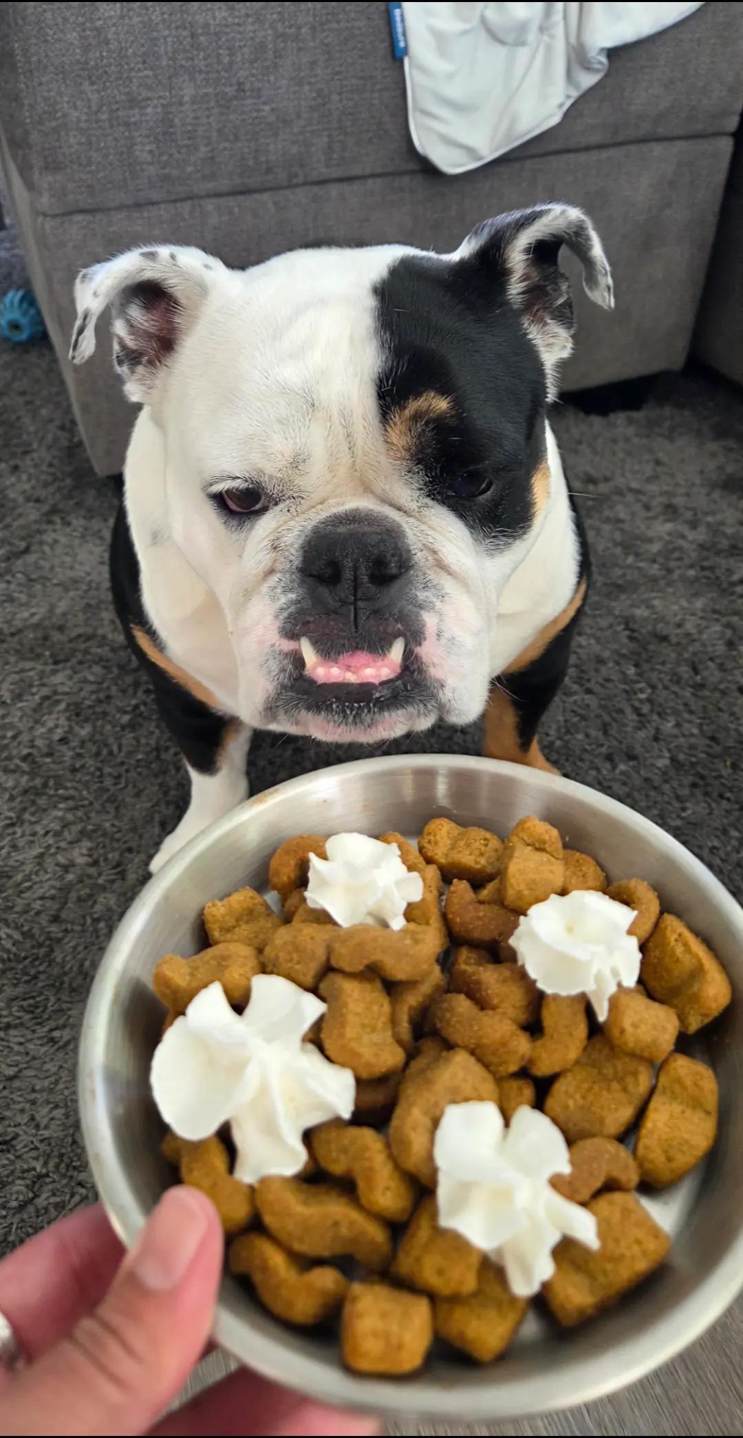 @🩷COOKIE RAMOS🐾🍪