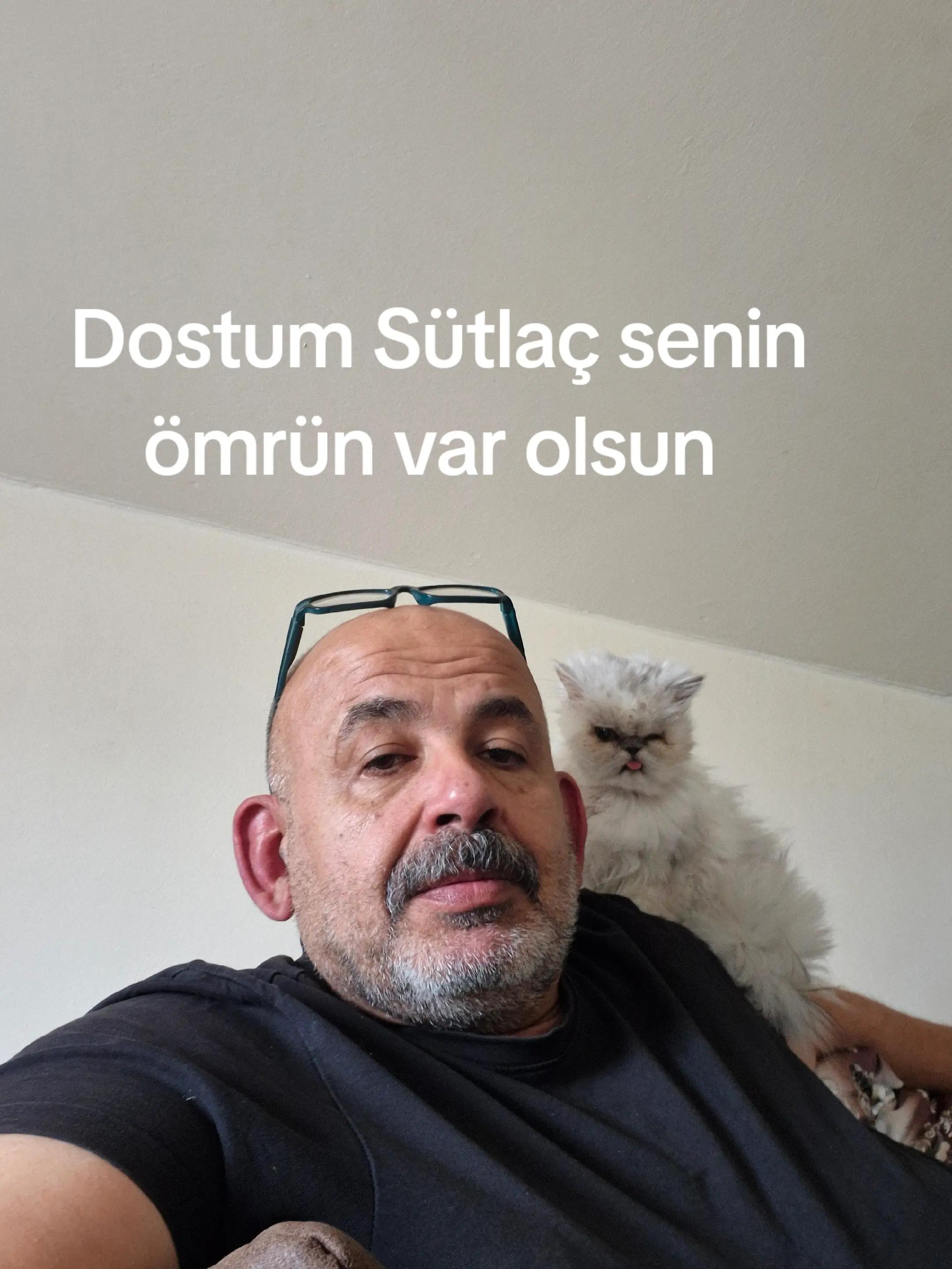 @Mehmet Kaya Adanali