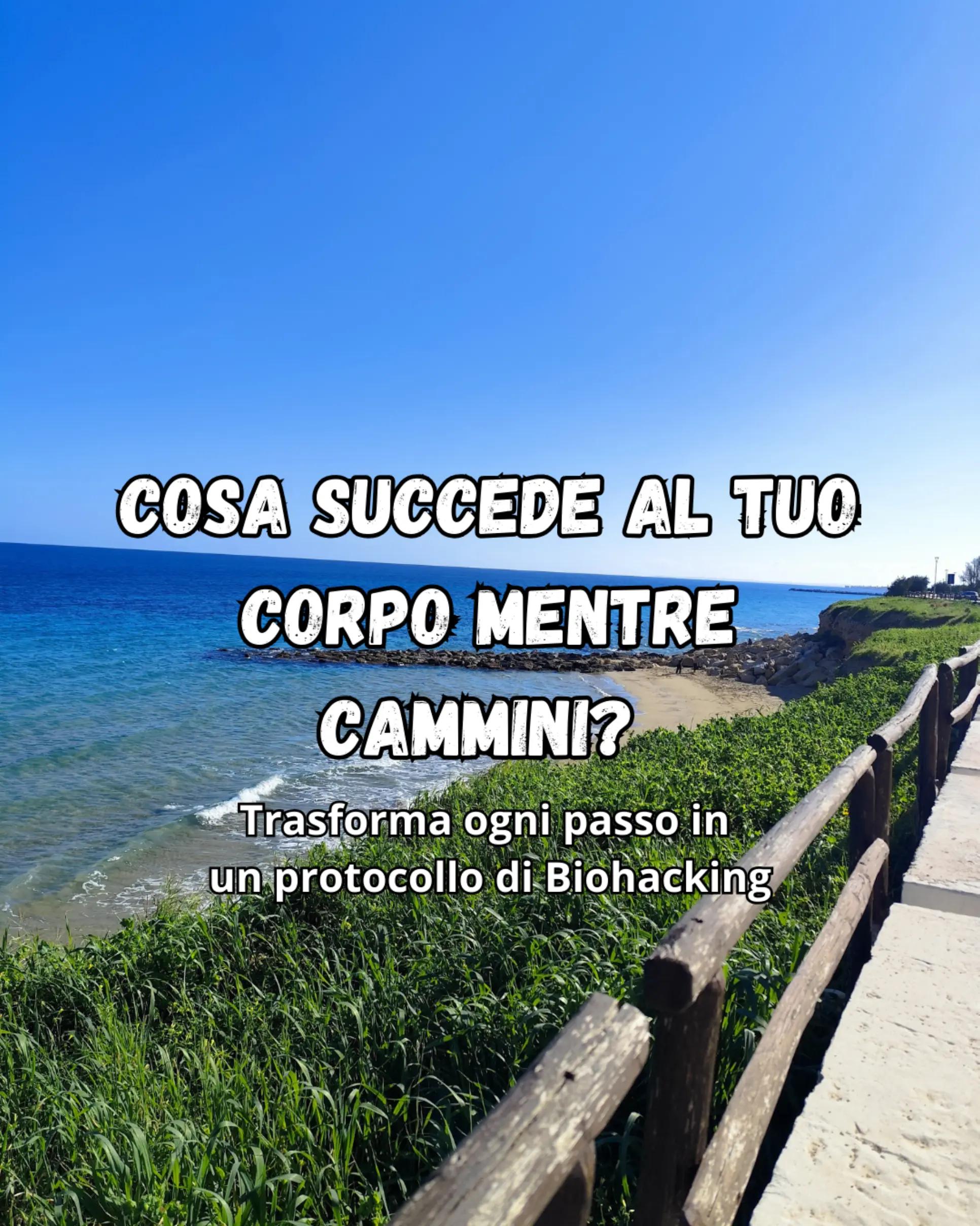 @Alessia Limpido