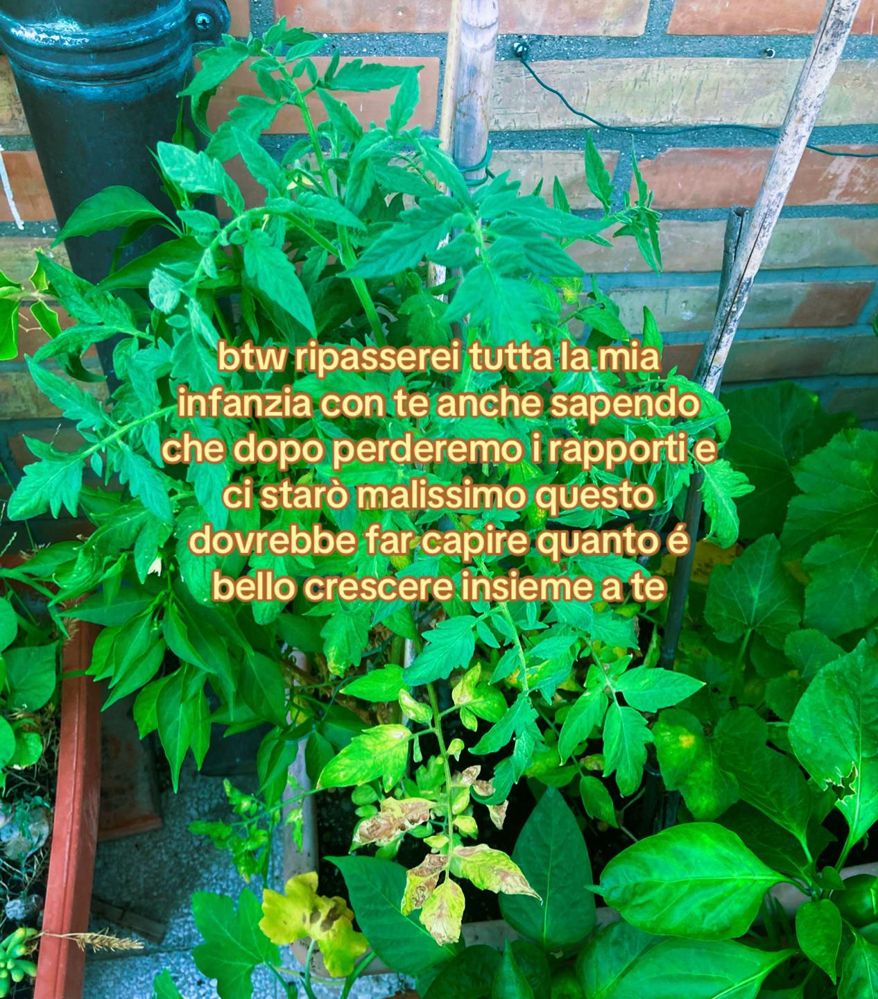 @just.4.l0s3r