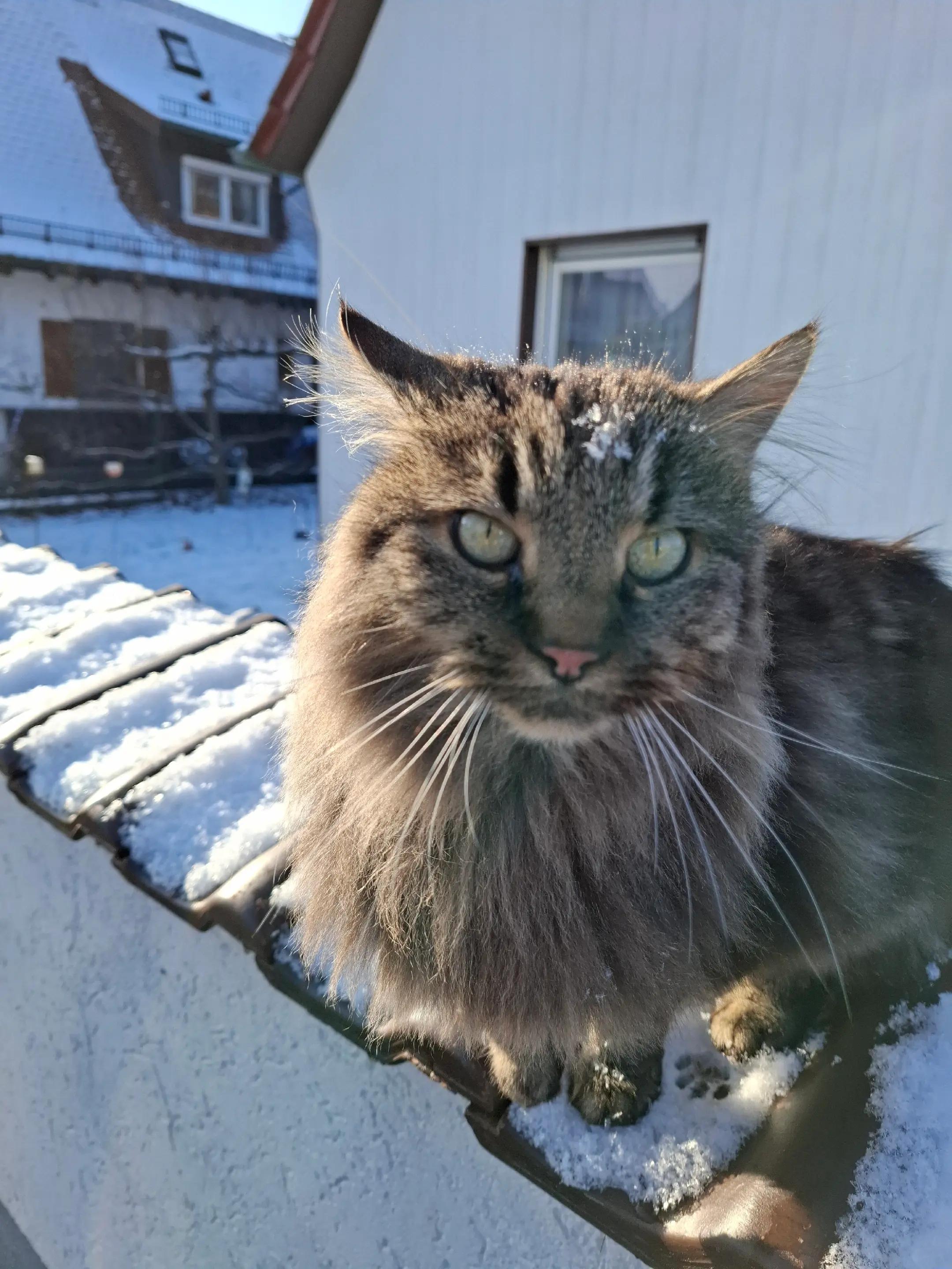 @Sonja mit dem bully
