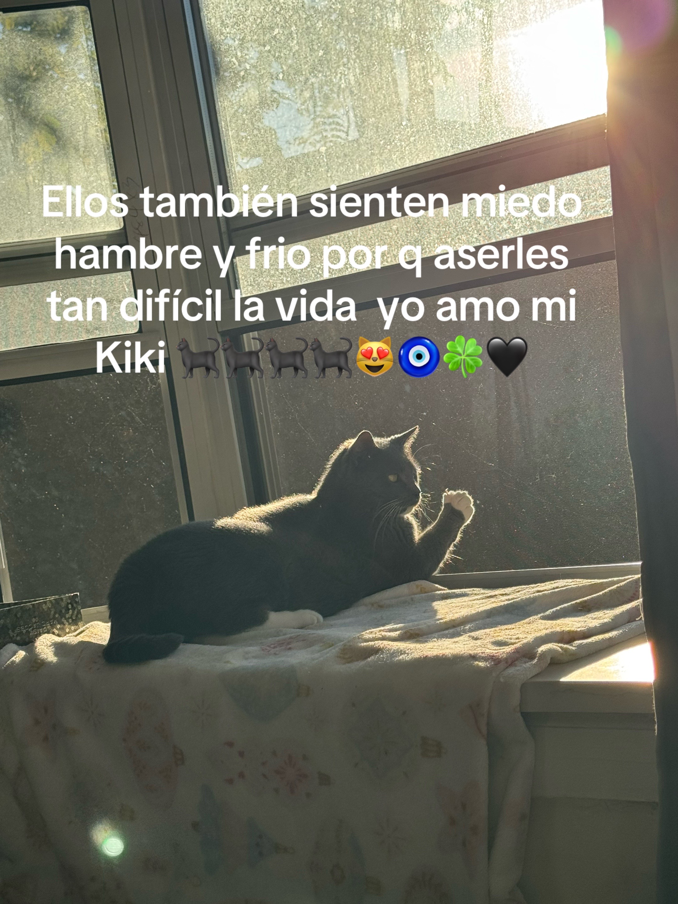 @🍀🧿NEGRA🧿🍀🖤