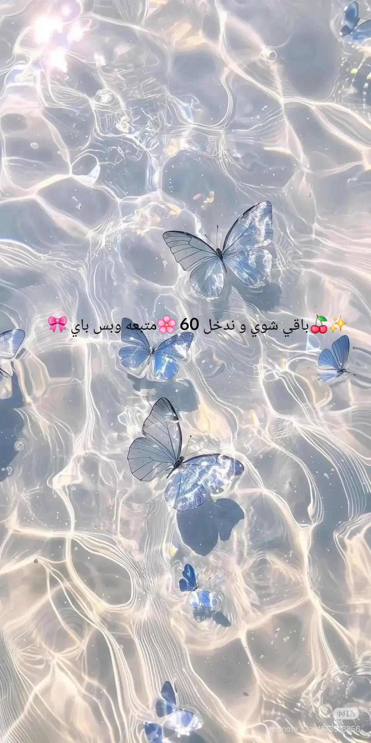 @°•✮•°ᵗⁱᵏᵗᵒᵏᥫᩣℒᎾℒᎾᎯᏇℋ☁ʕ•ᴥ•ʔ🇸🇦