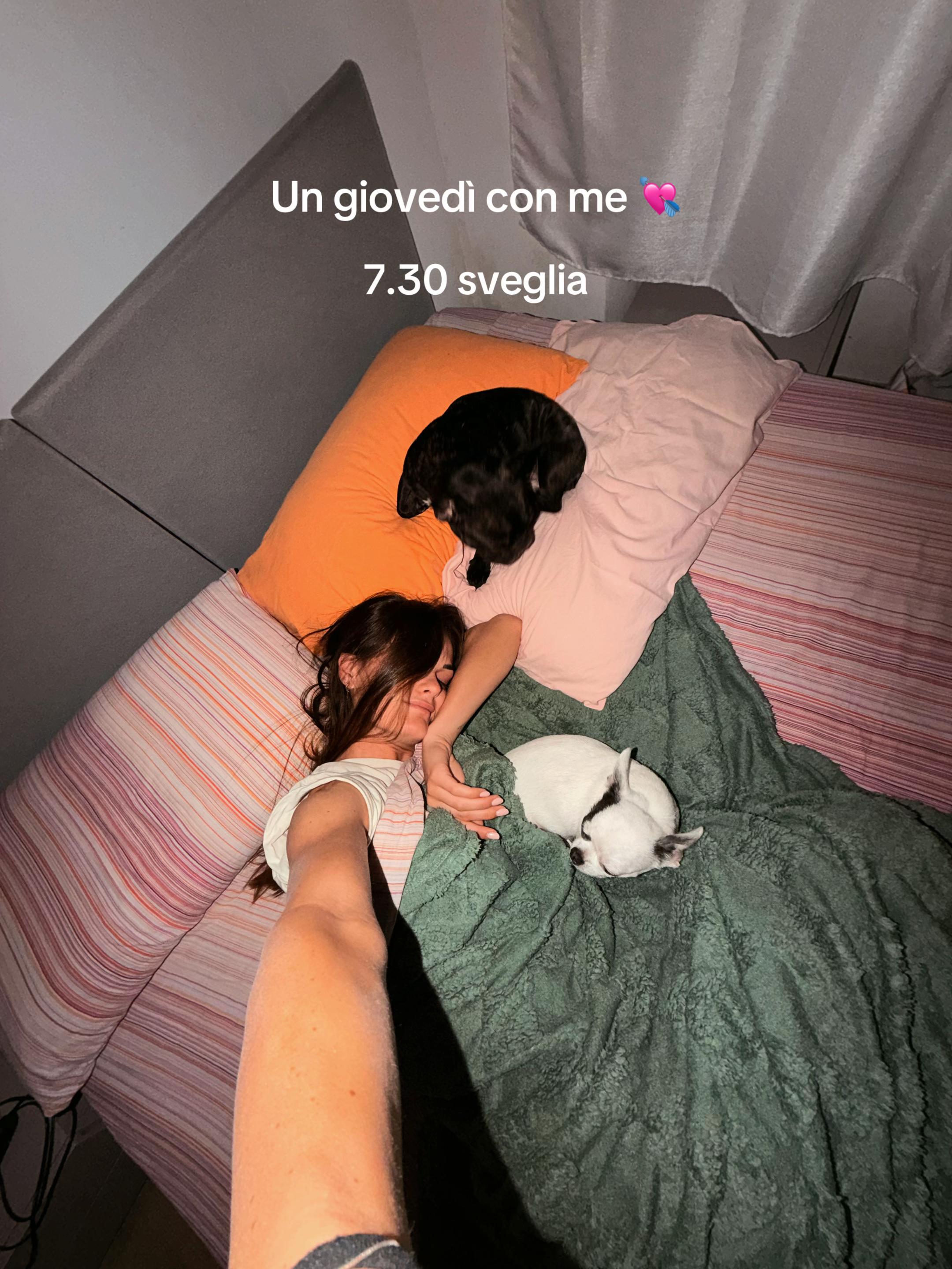 @Nicole Cereseto