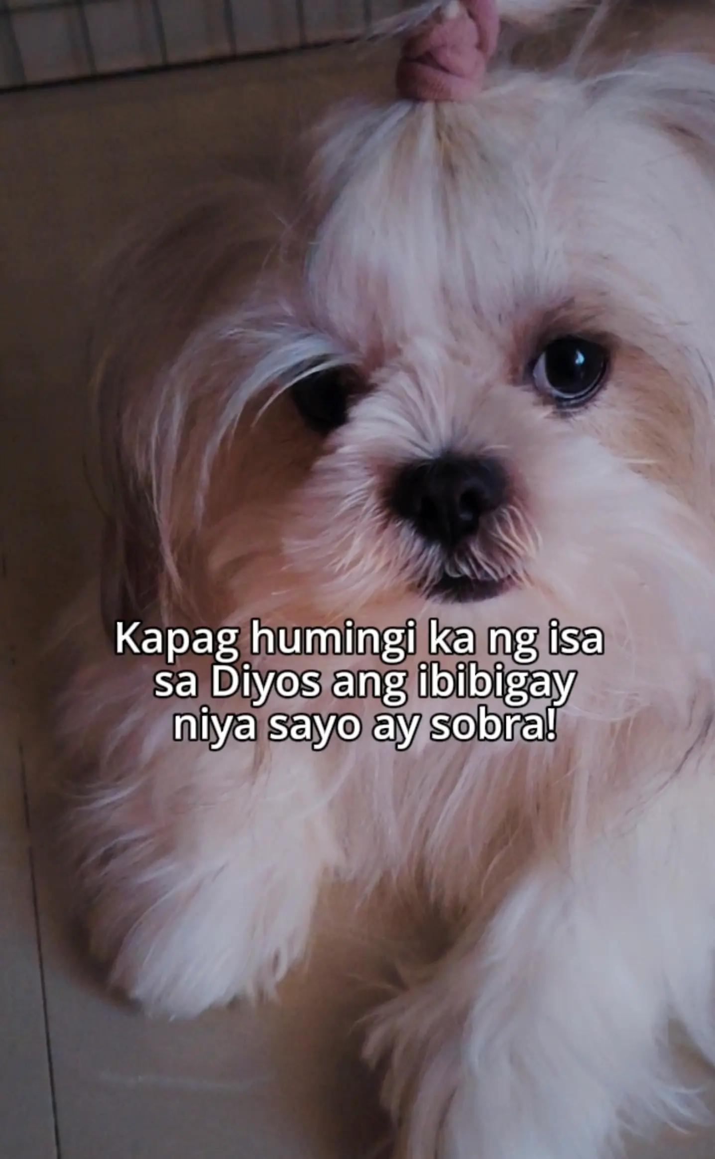 @INDAY