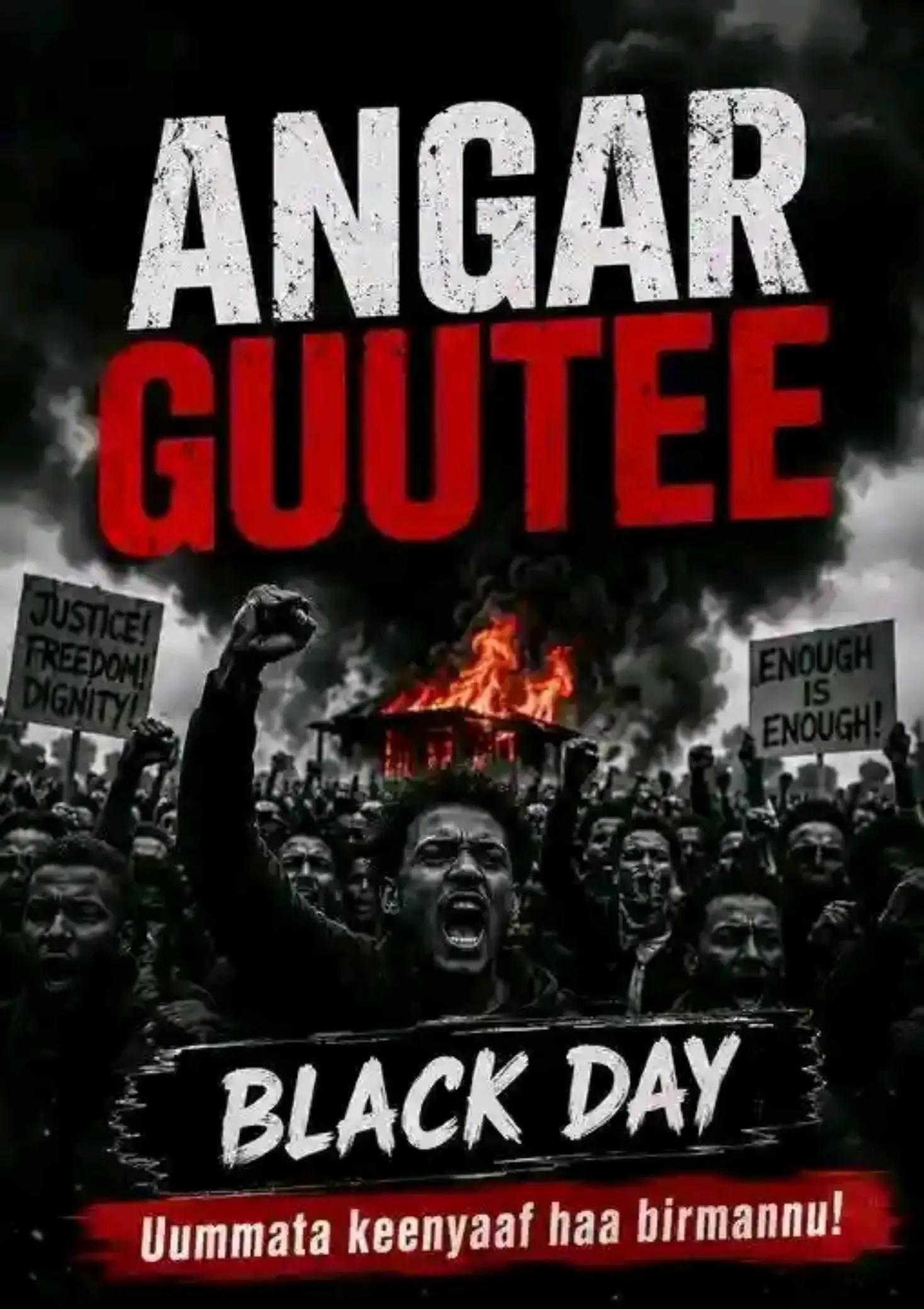 @Tariku Fekeda