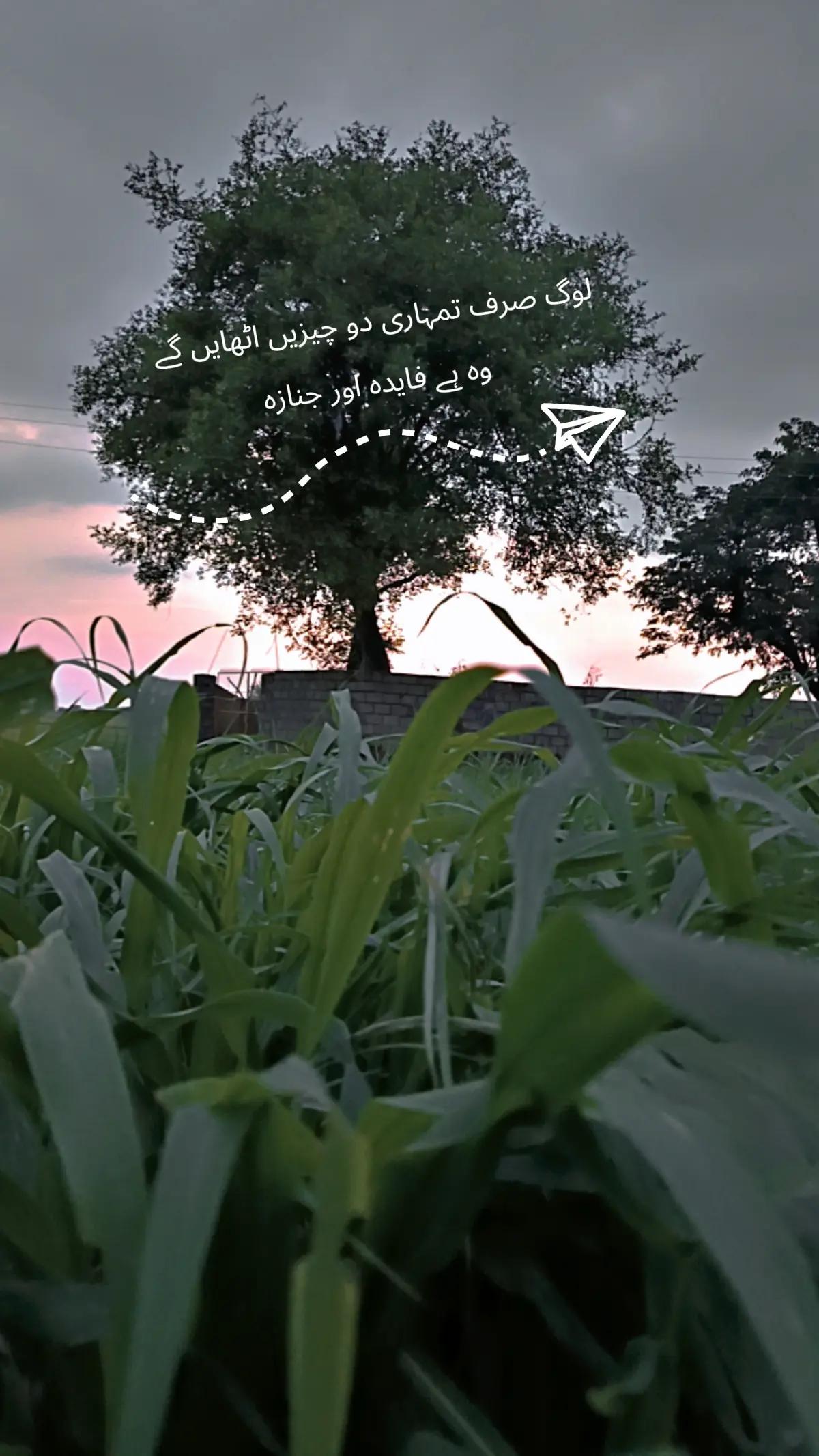 @Raja Adeeb Arif