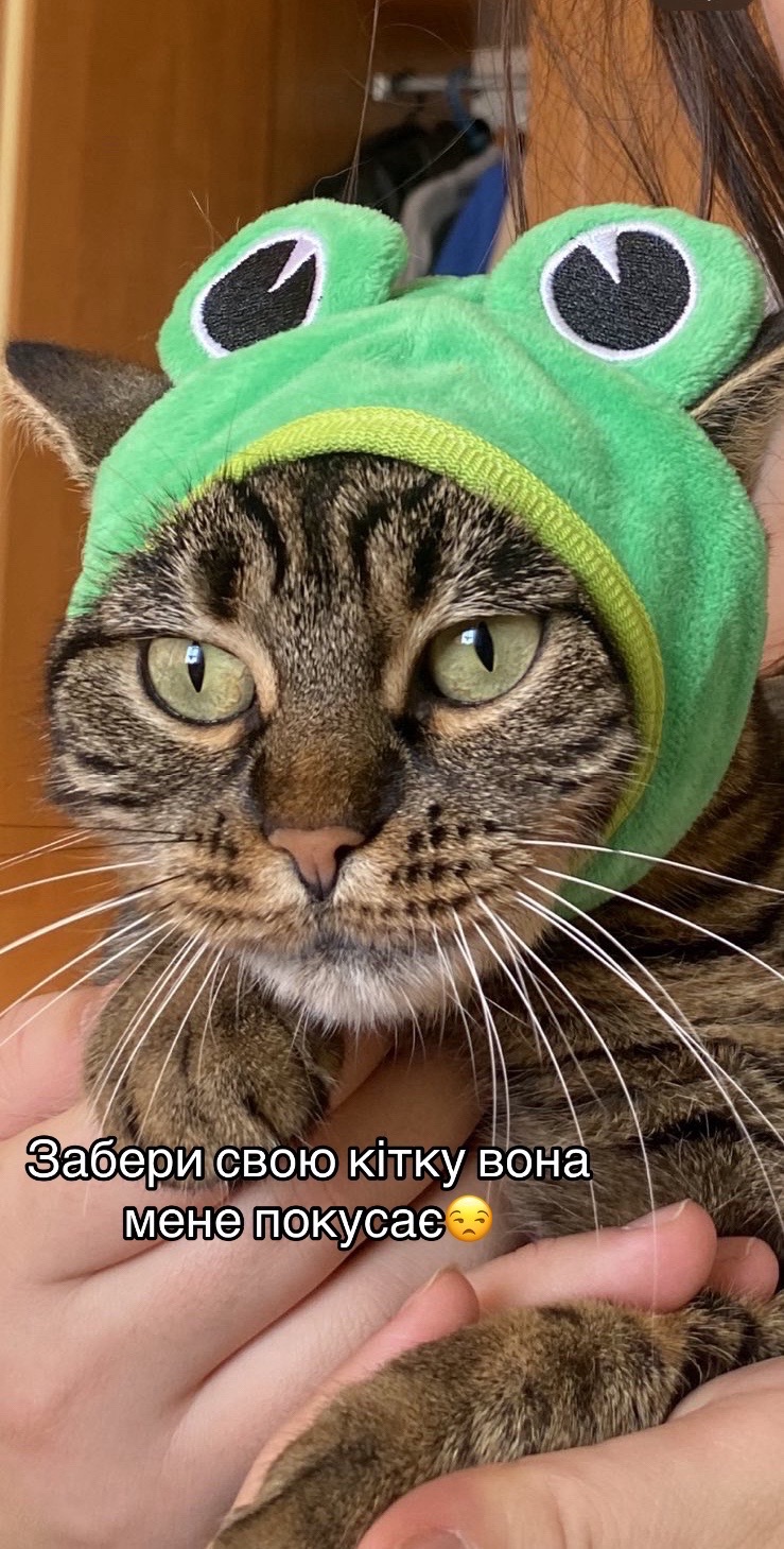 @CaTtoK