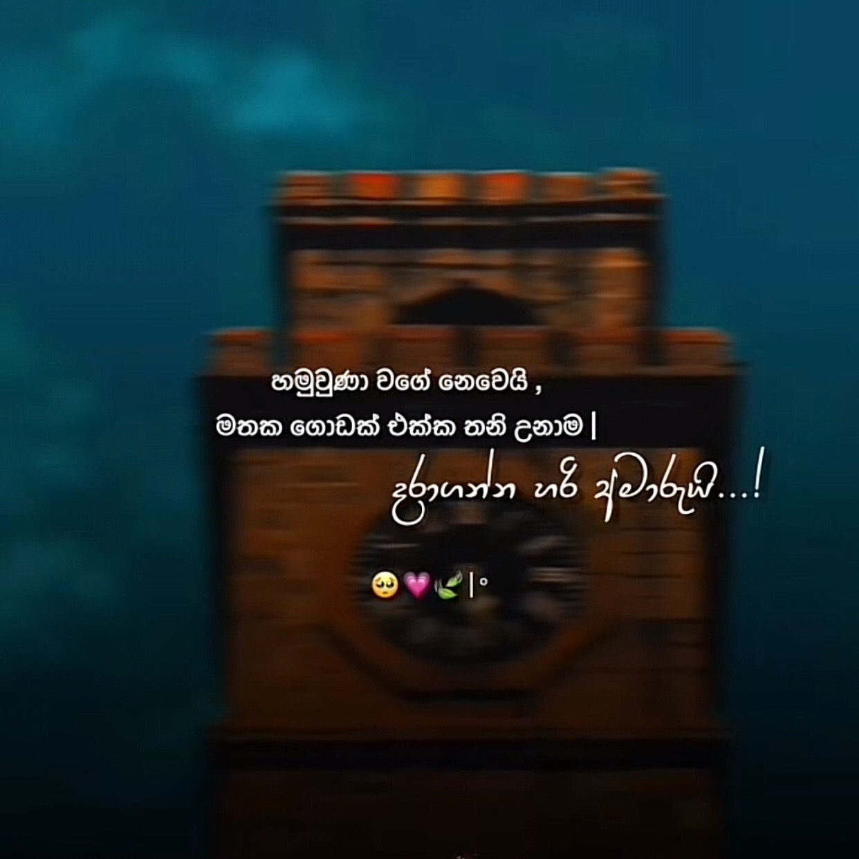 @𝐋𝐨𝐨𝐑𝐚𝐚 ♡ 🐋✨