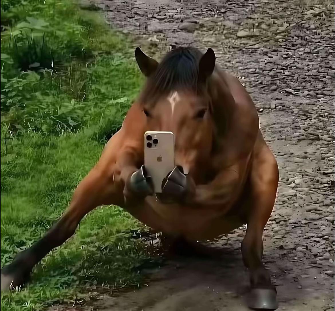 @lumpi_on_Focus🪐🦶