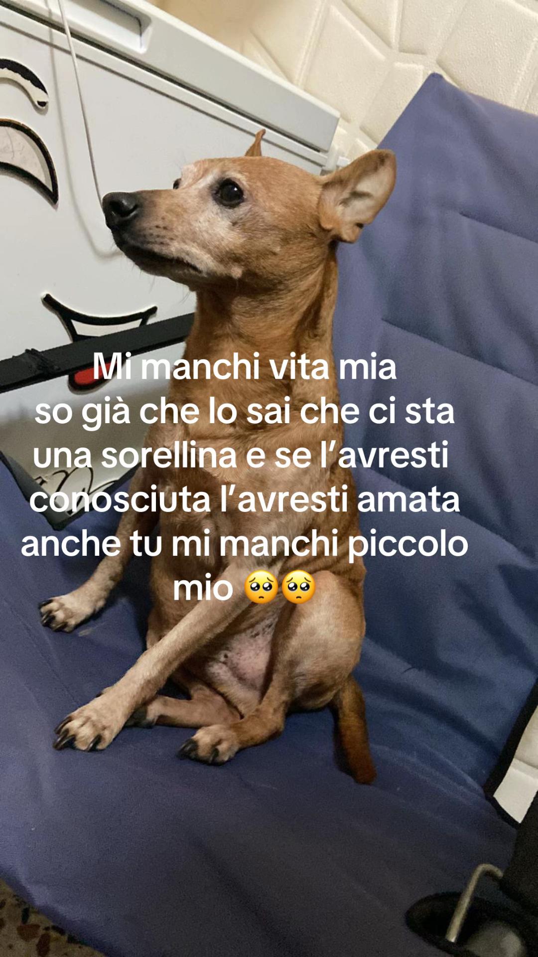 @il_demarco