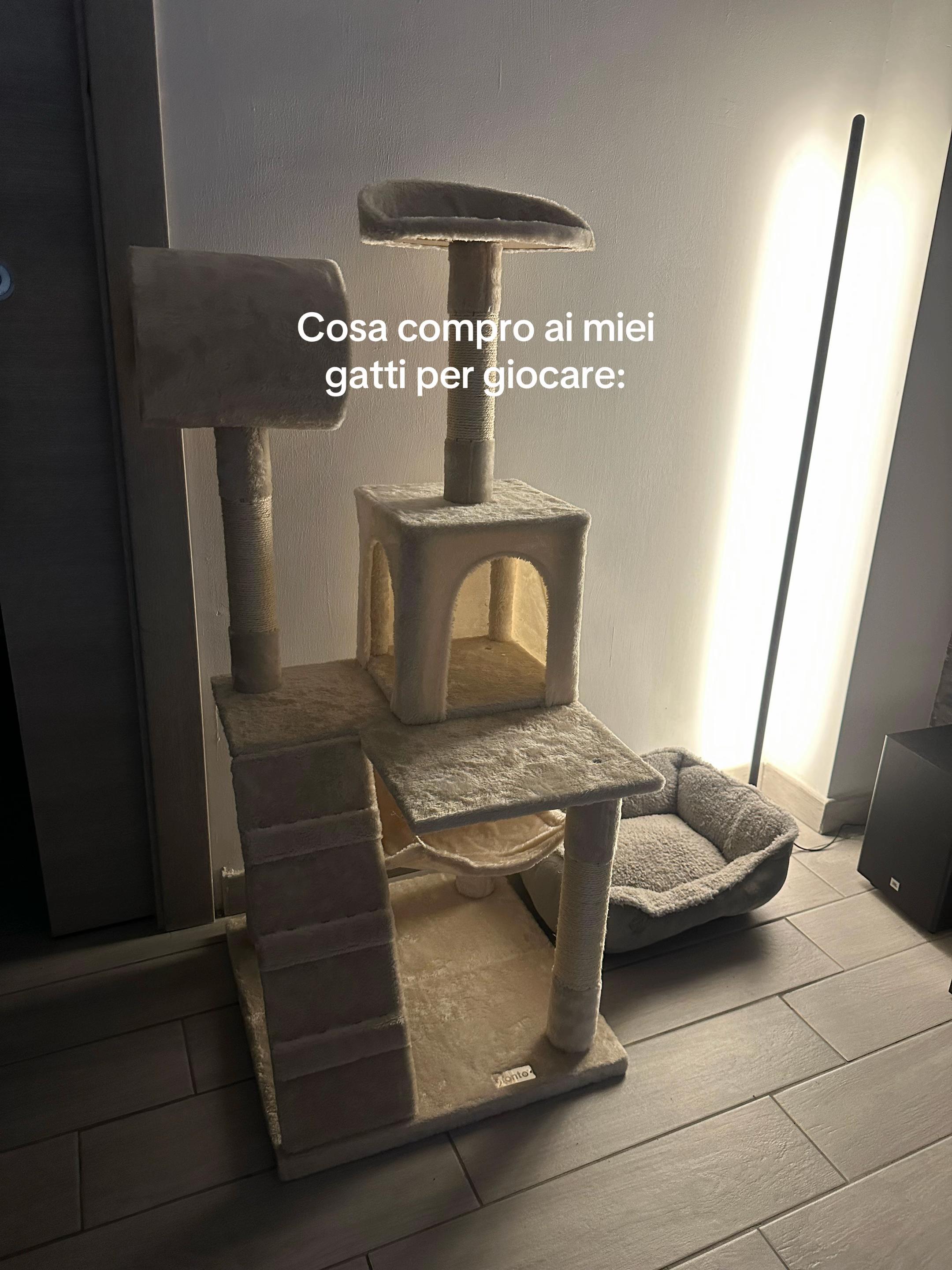 @𝒜𝓁𝑒𝓈𝓈𝒾𝒶