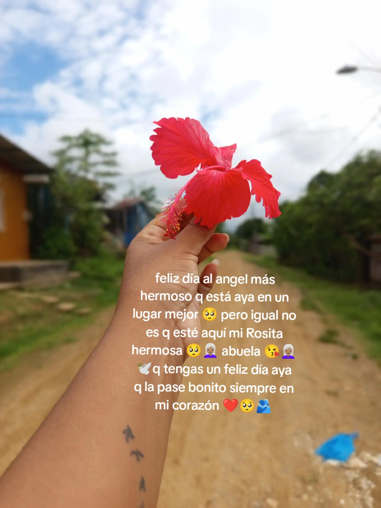 @ROSII🍃