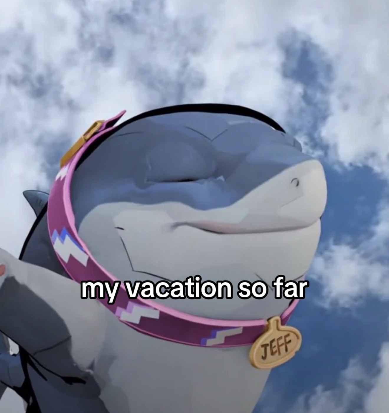 @cc.