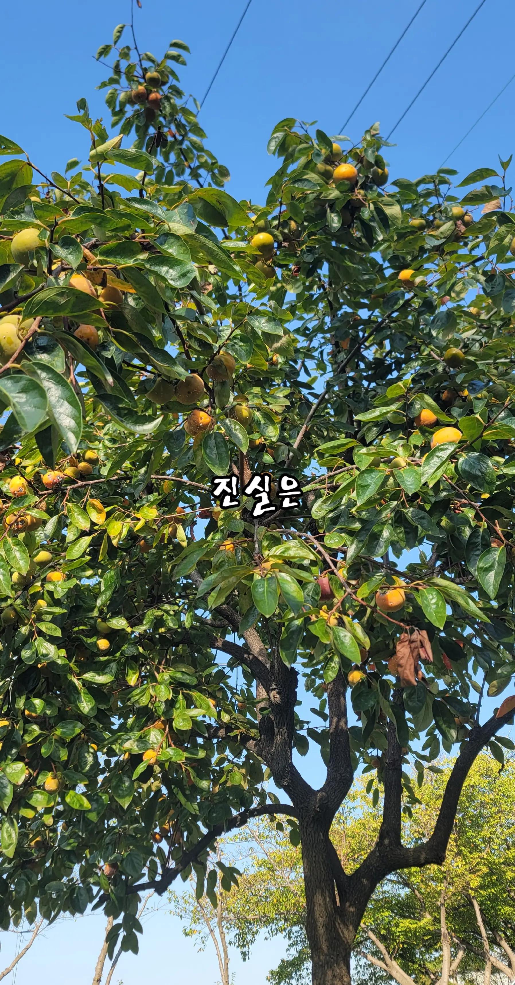 @k착한하늘이