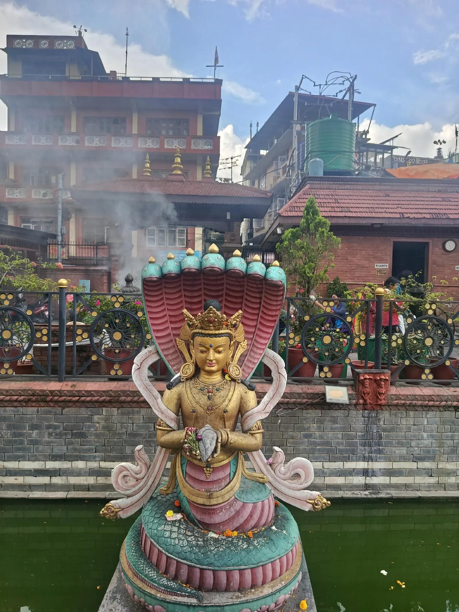 @~shanti lama^^🫶