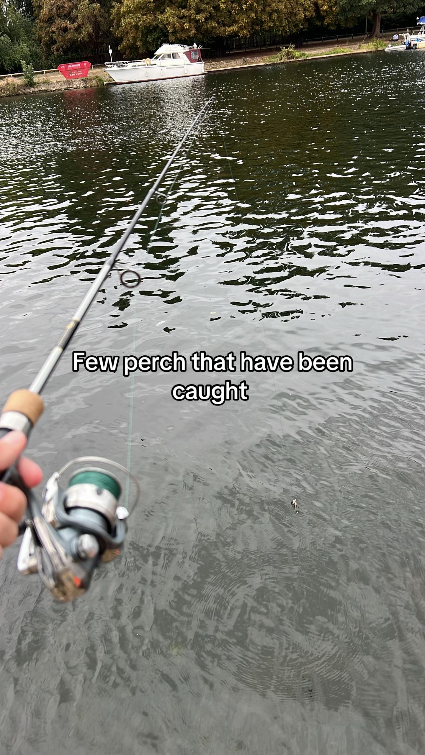 @🎣Mikey🎣