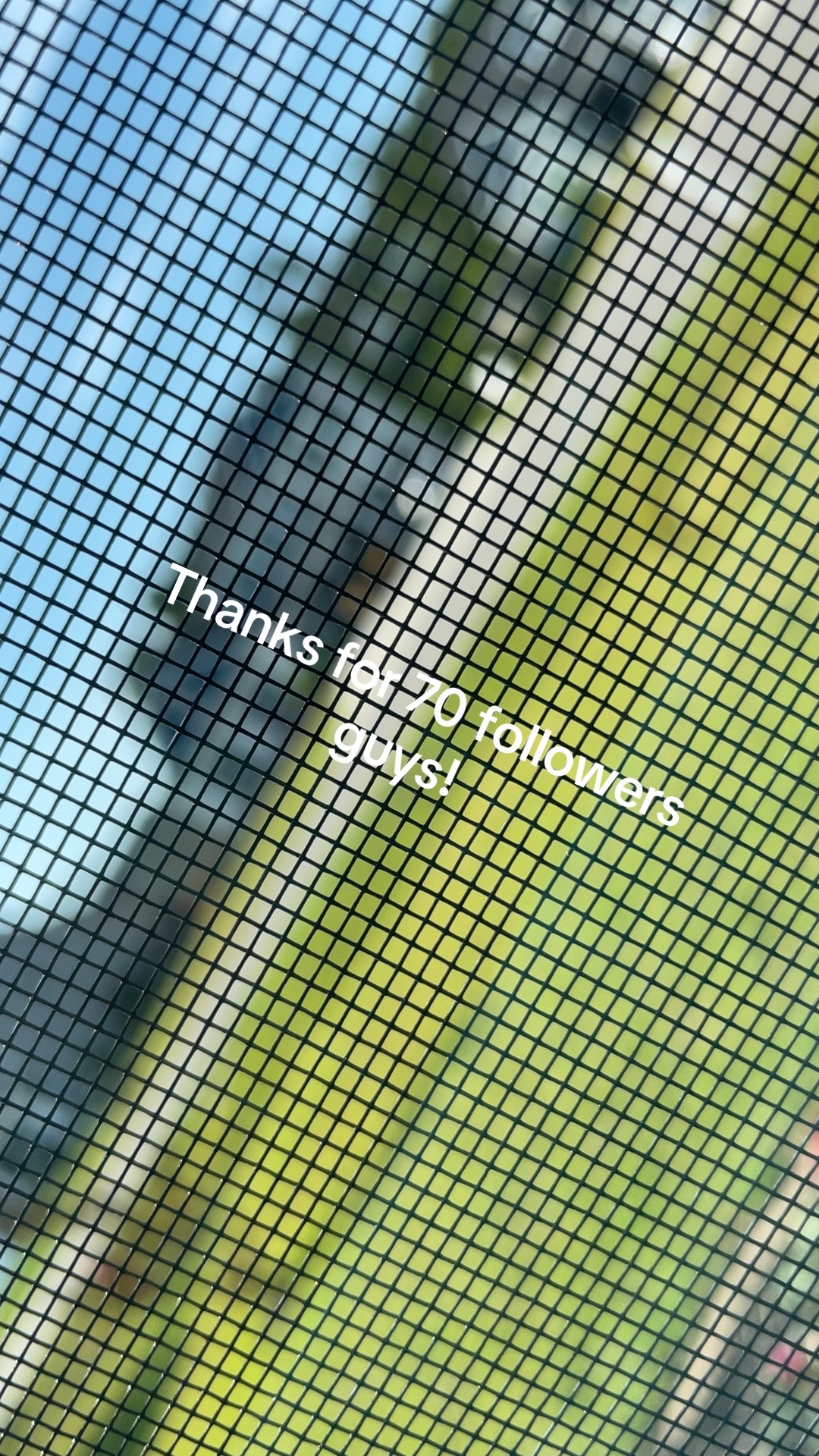 @Urf4vfr0ggi<3